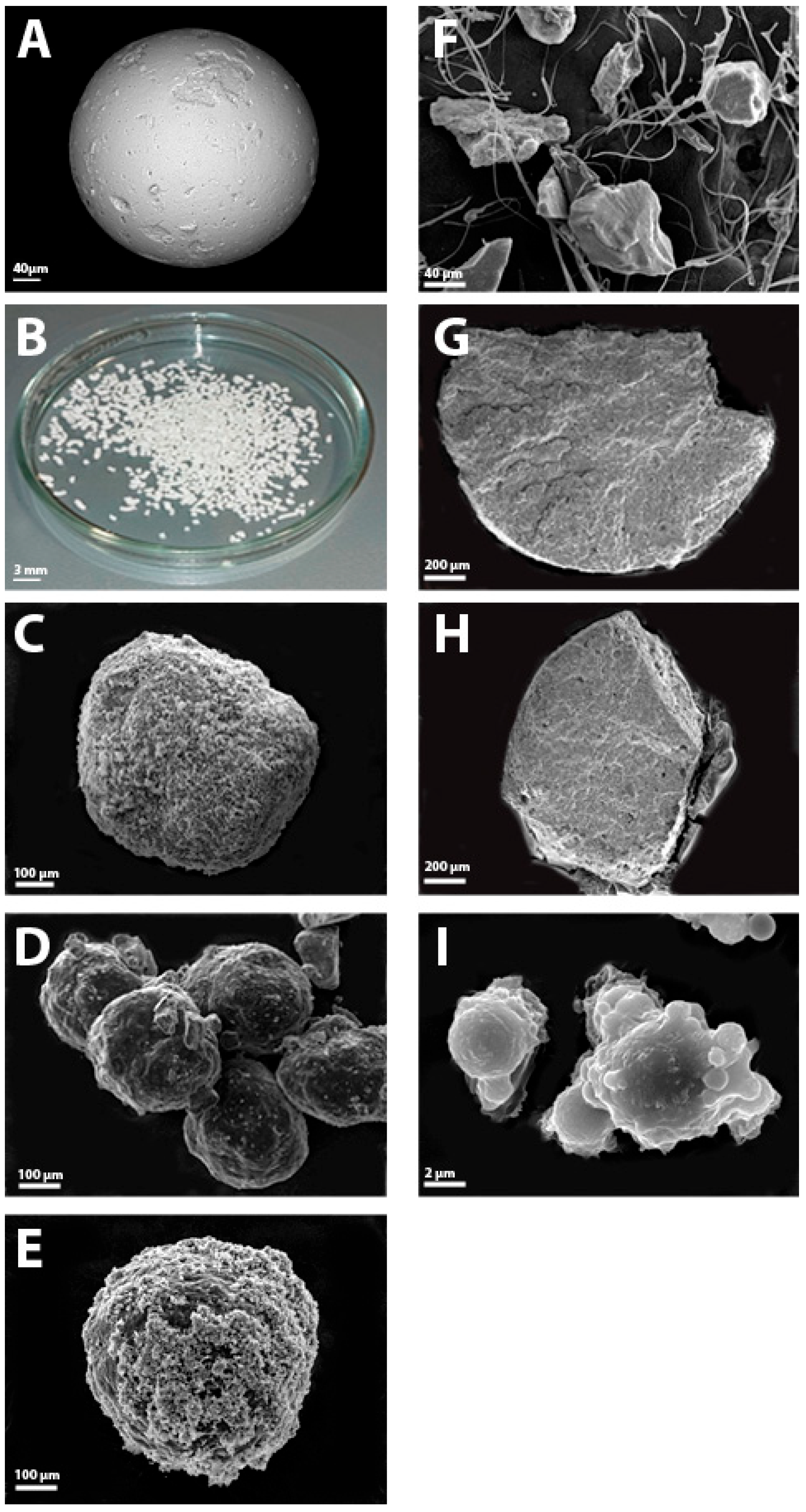 Applsci 15 12640 g006