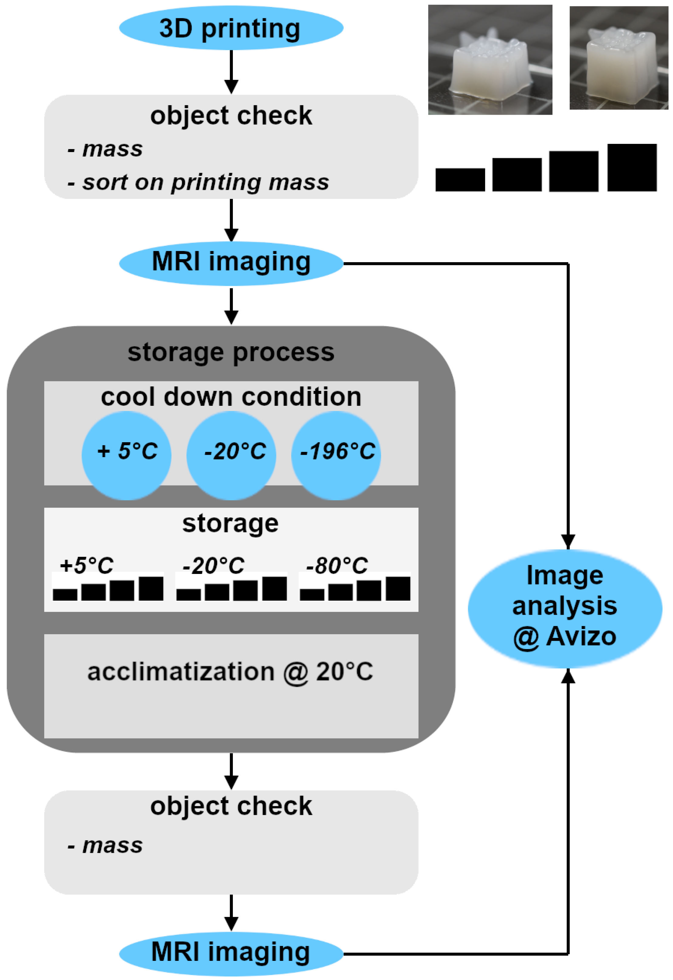 Applsci 15 12648 g001