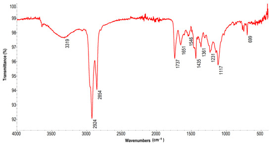 Ultrasonic Dispersion of Pyrolytic Carbon: Synthesis