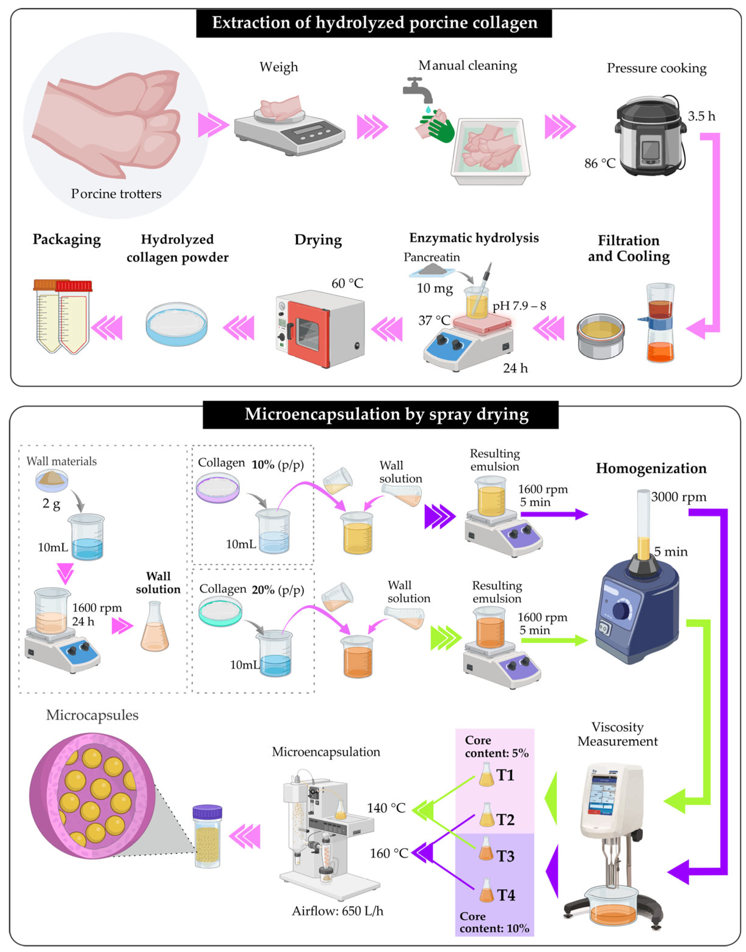 Applsci 15 12667 g001
