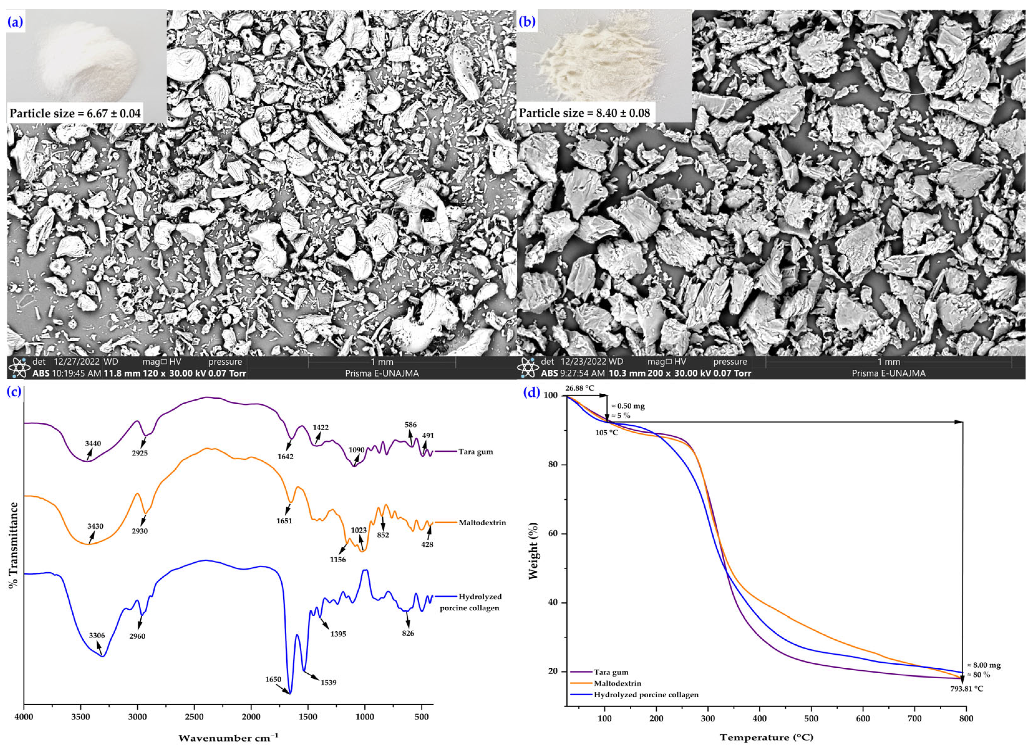 Applsci 15 12667 g002