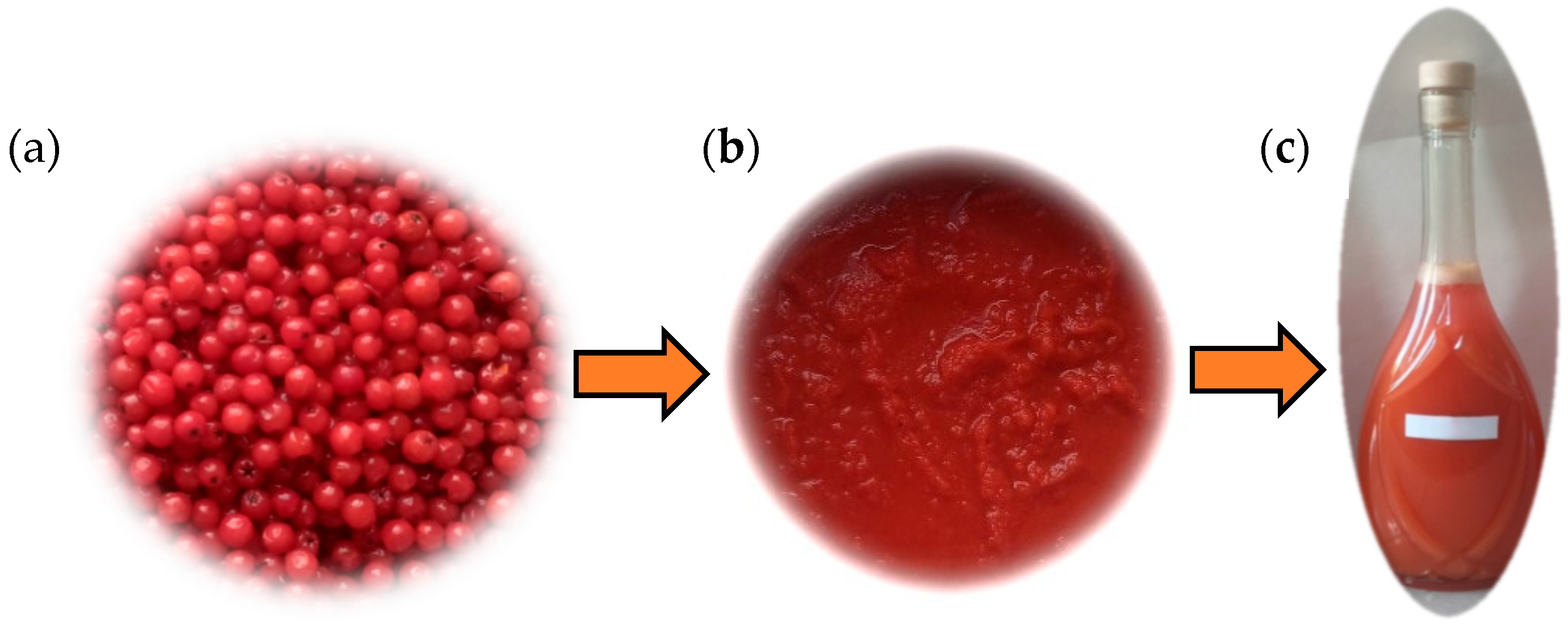 Applsci 15 12674 g001