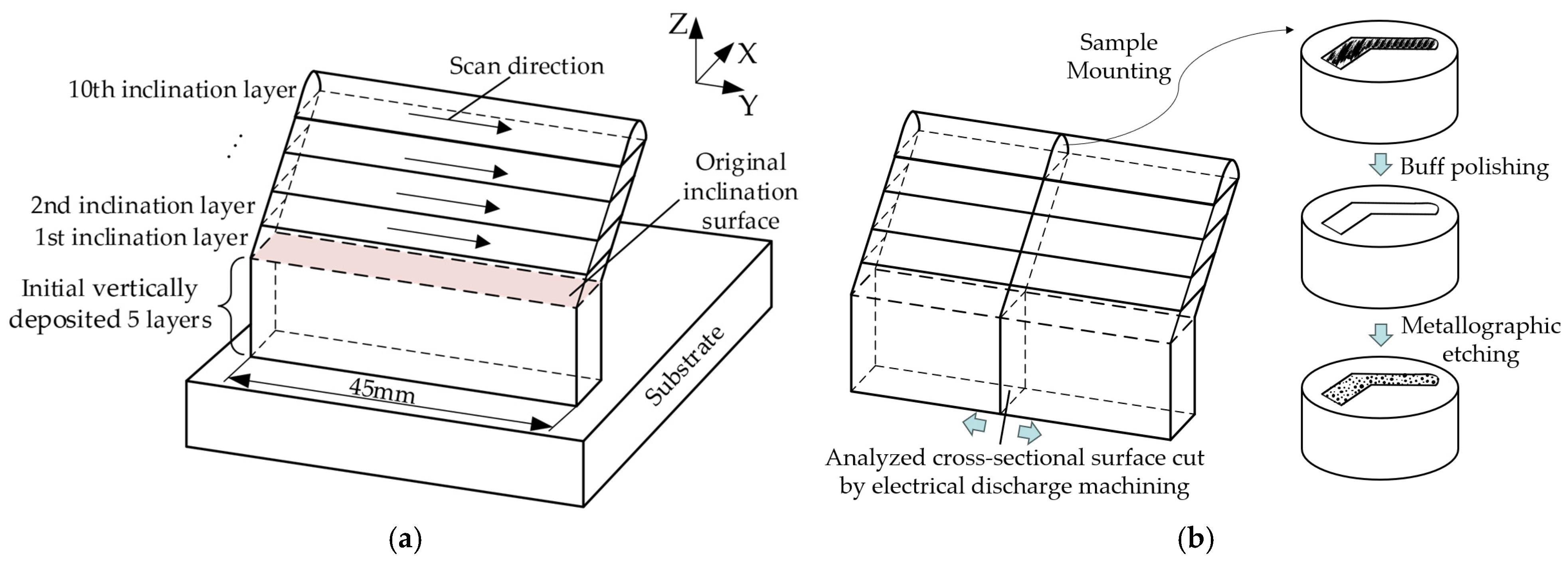 Applsci 15 12675 g003