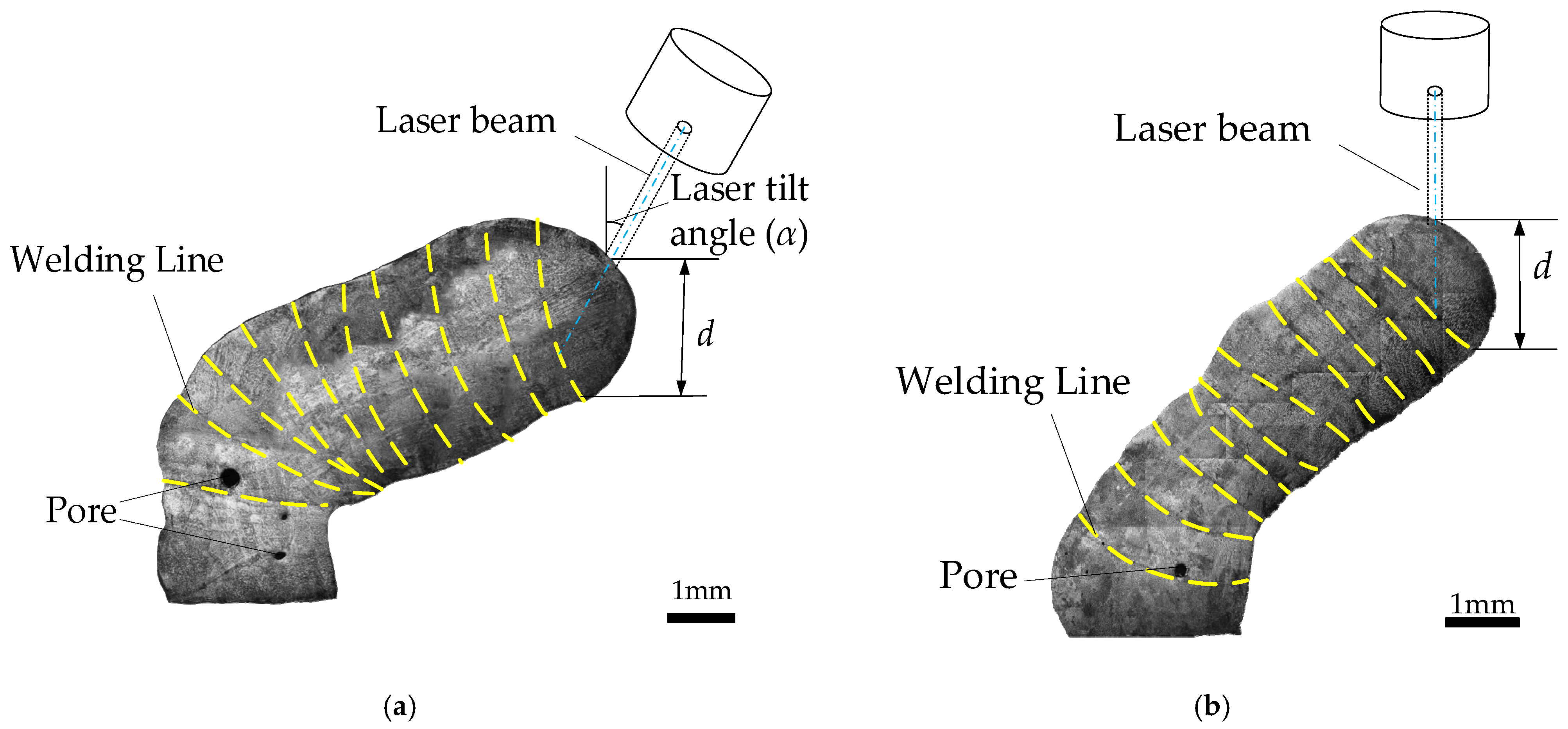 Applsci 15 12675 g011