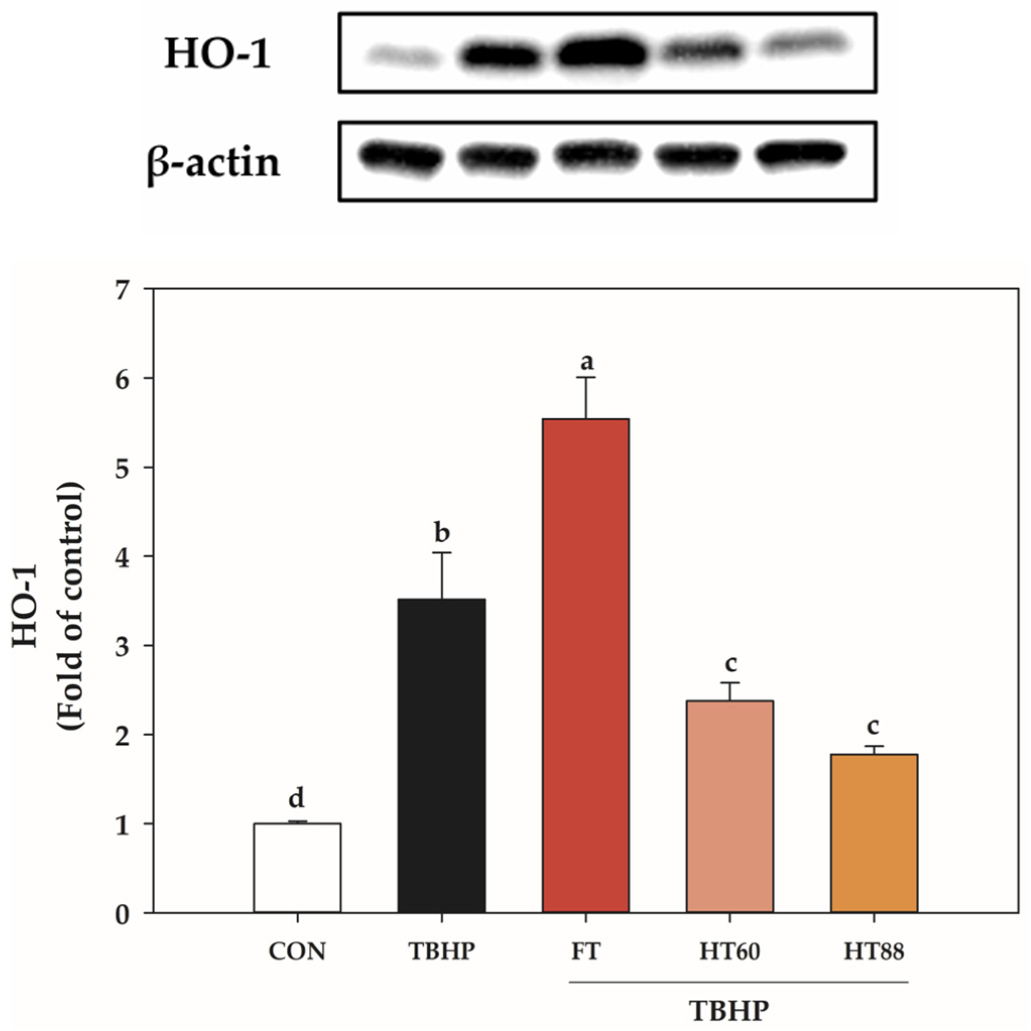 Applsci 15 12693 g004