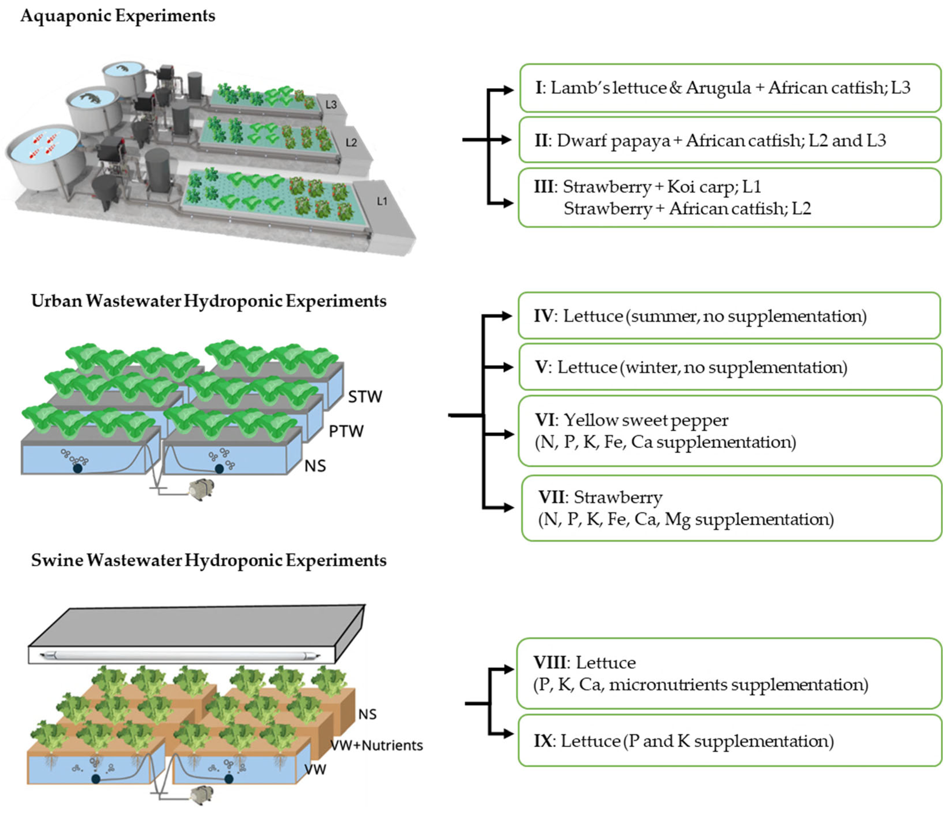 Applsci 15 12695 g001