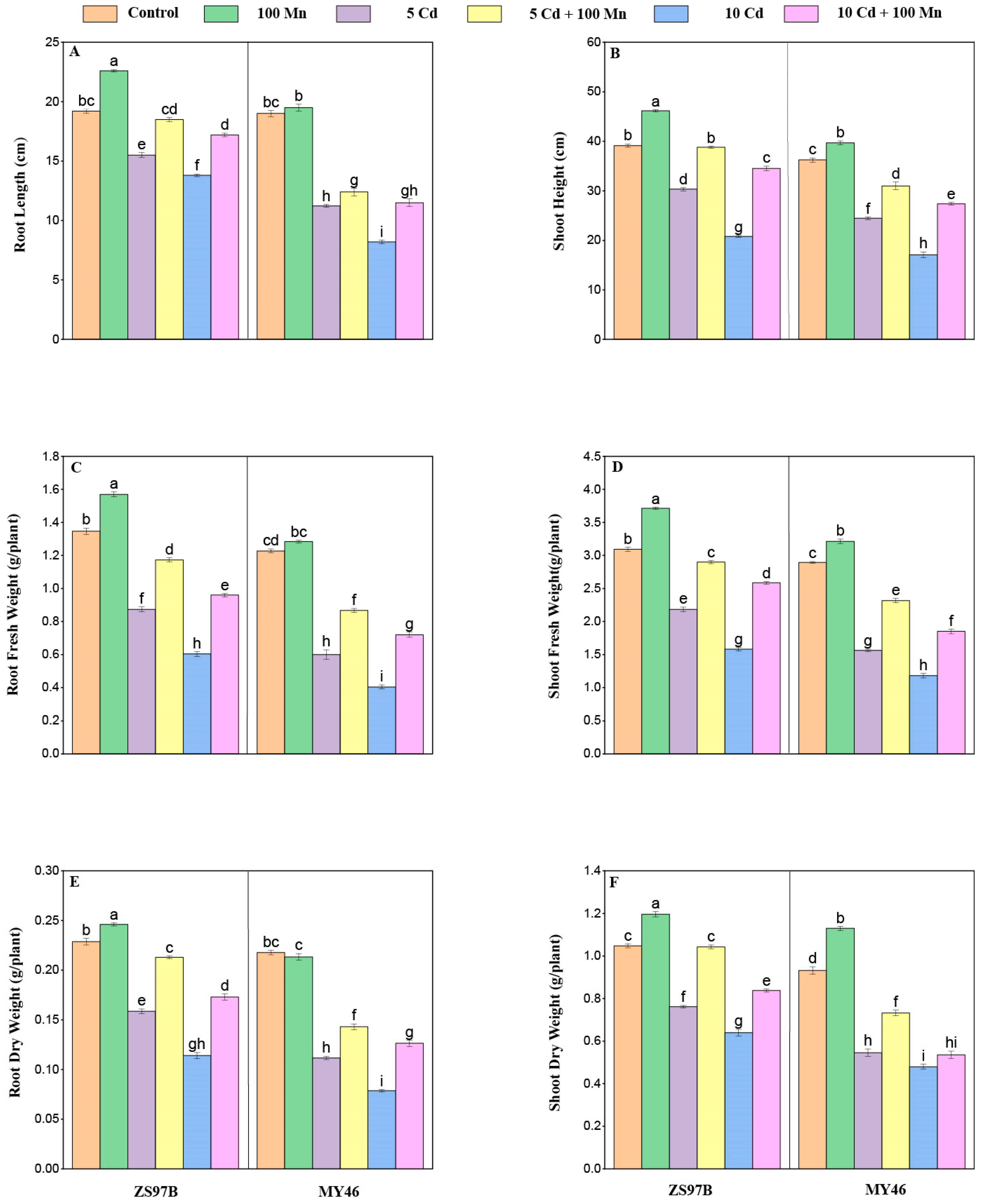 Applsci 15 12704 g001