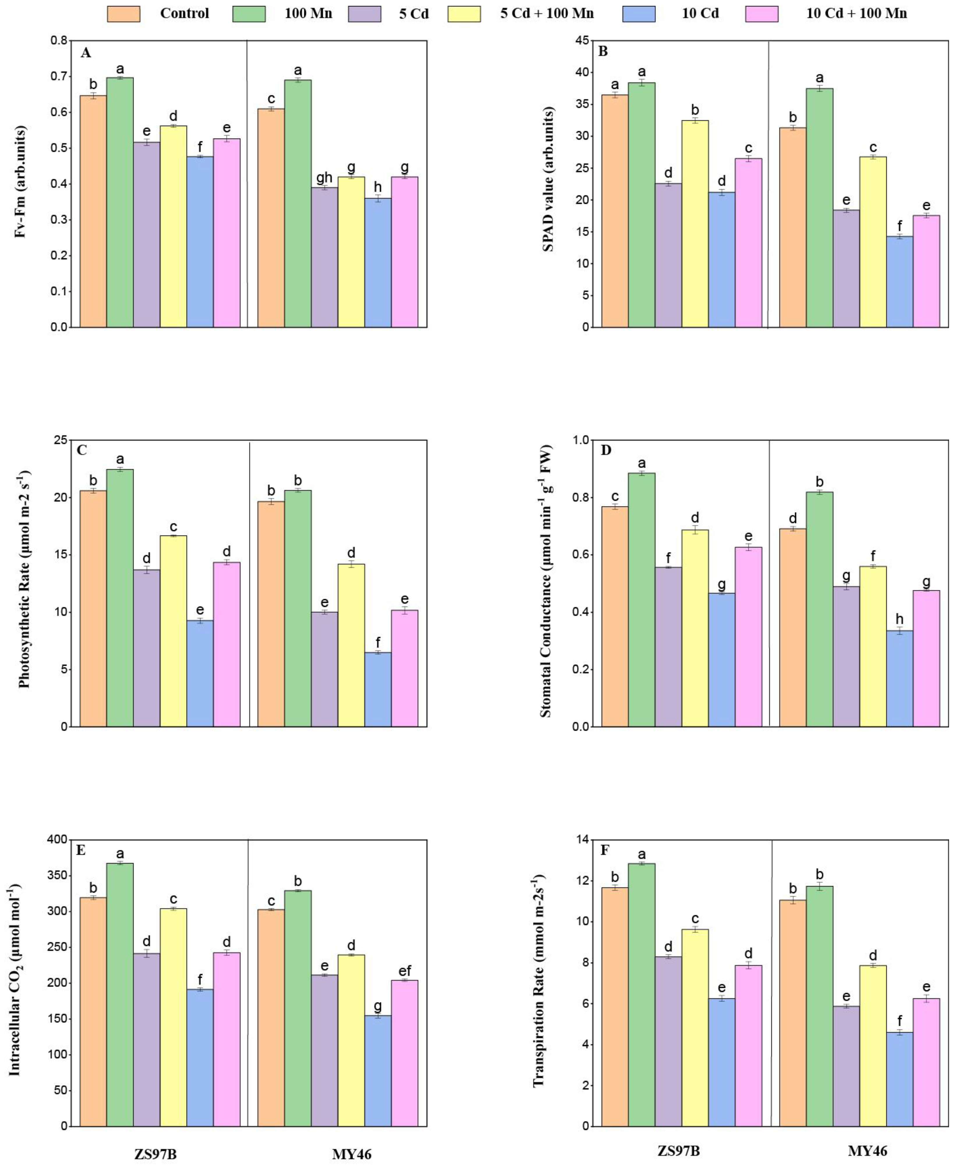 Applsci 15 12704 g002