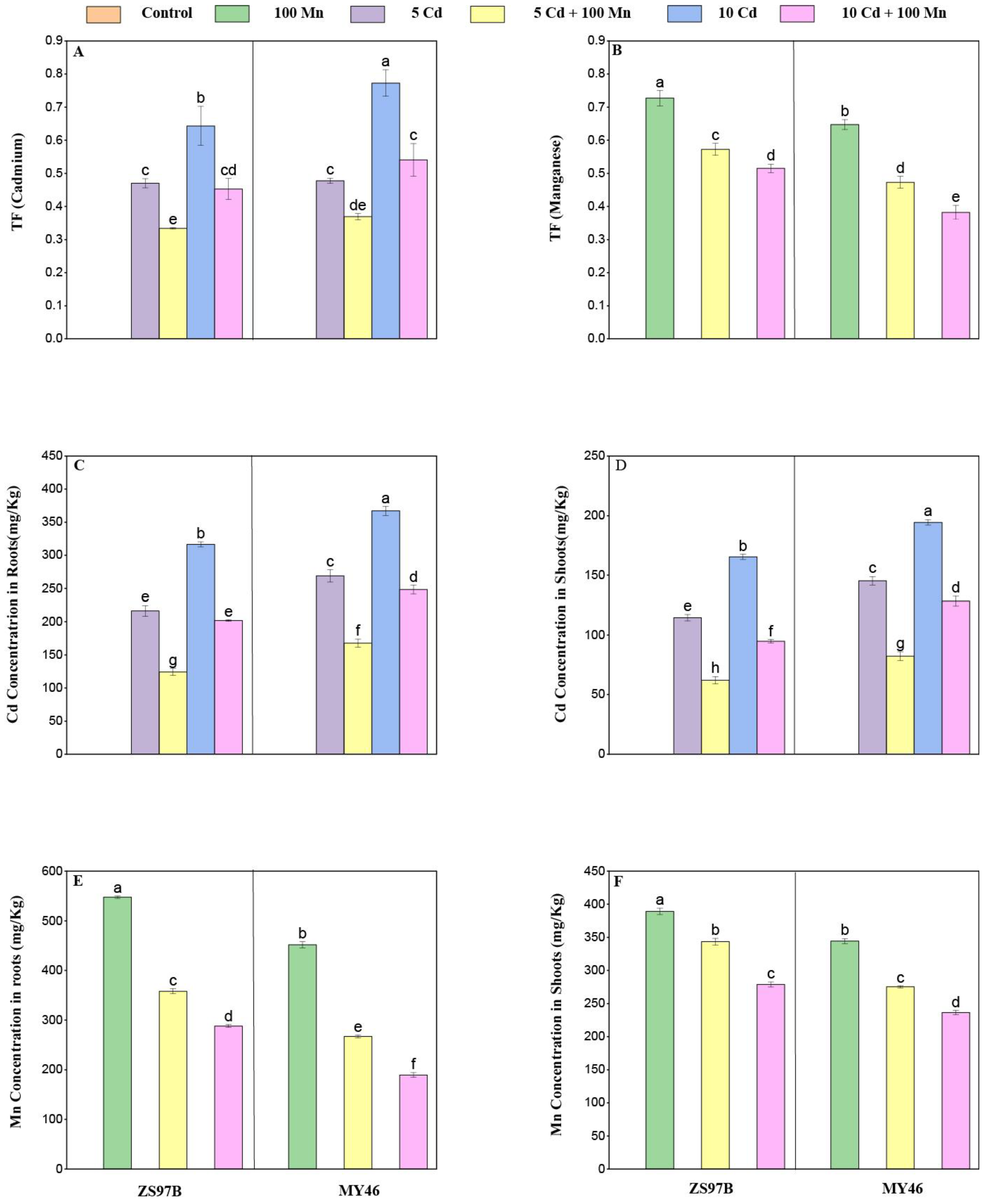 Applsci 15 12704 g003