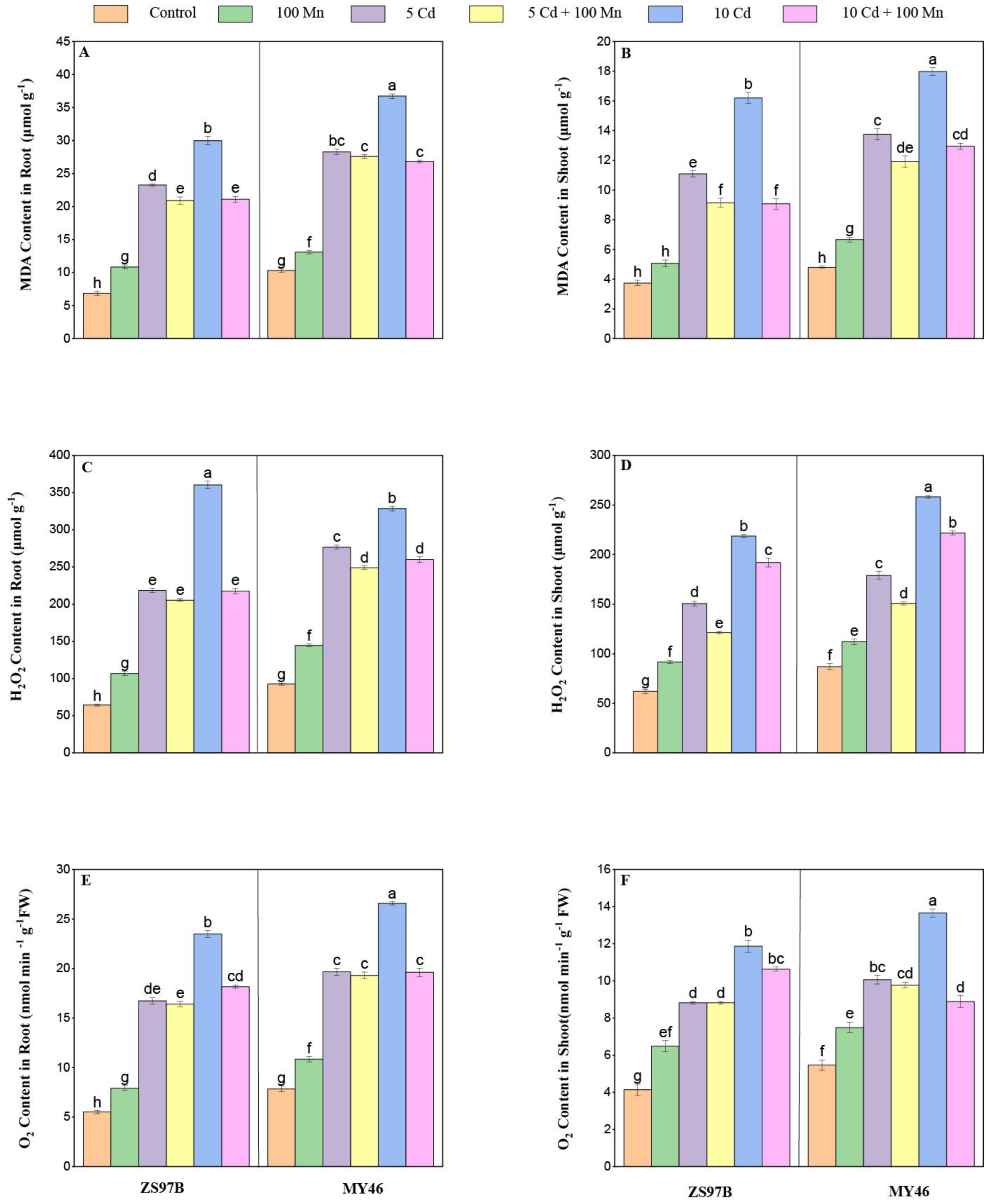 Applsci 15 12704 g005