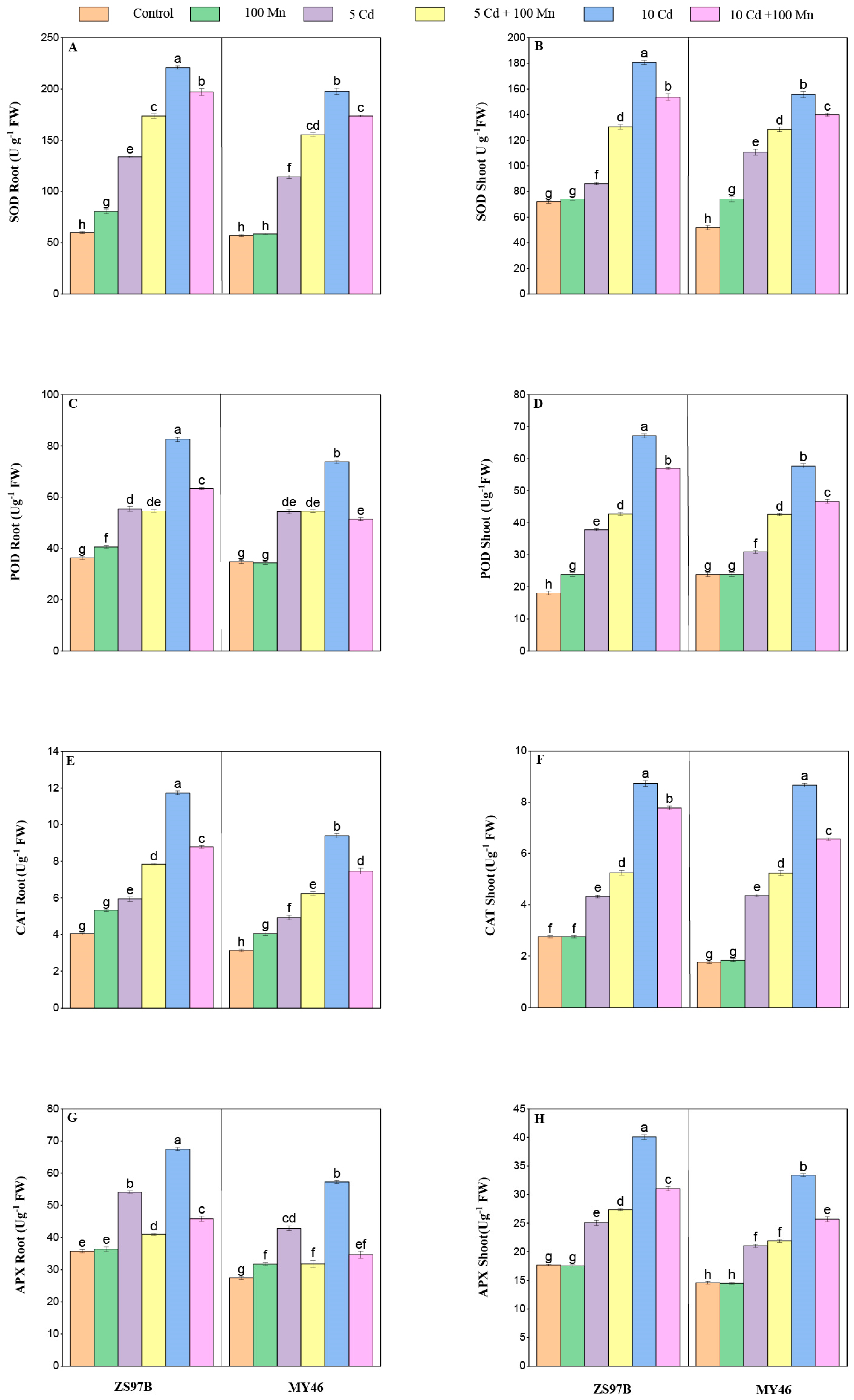 Applsci 15 12704 g006