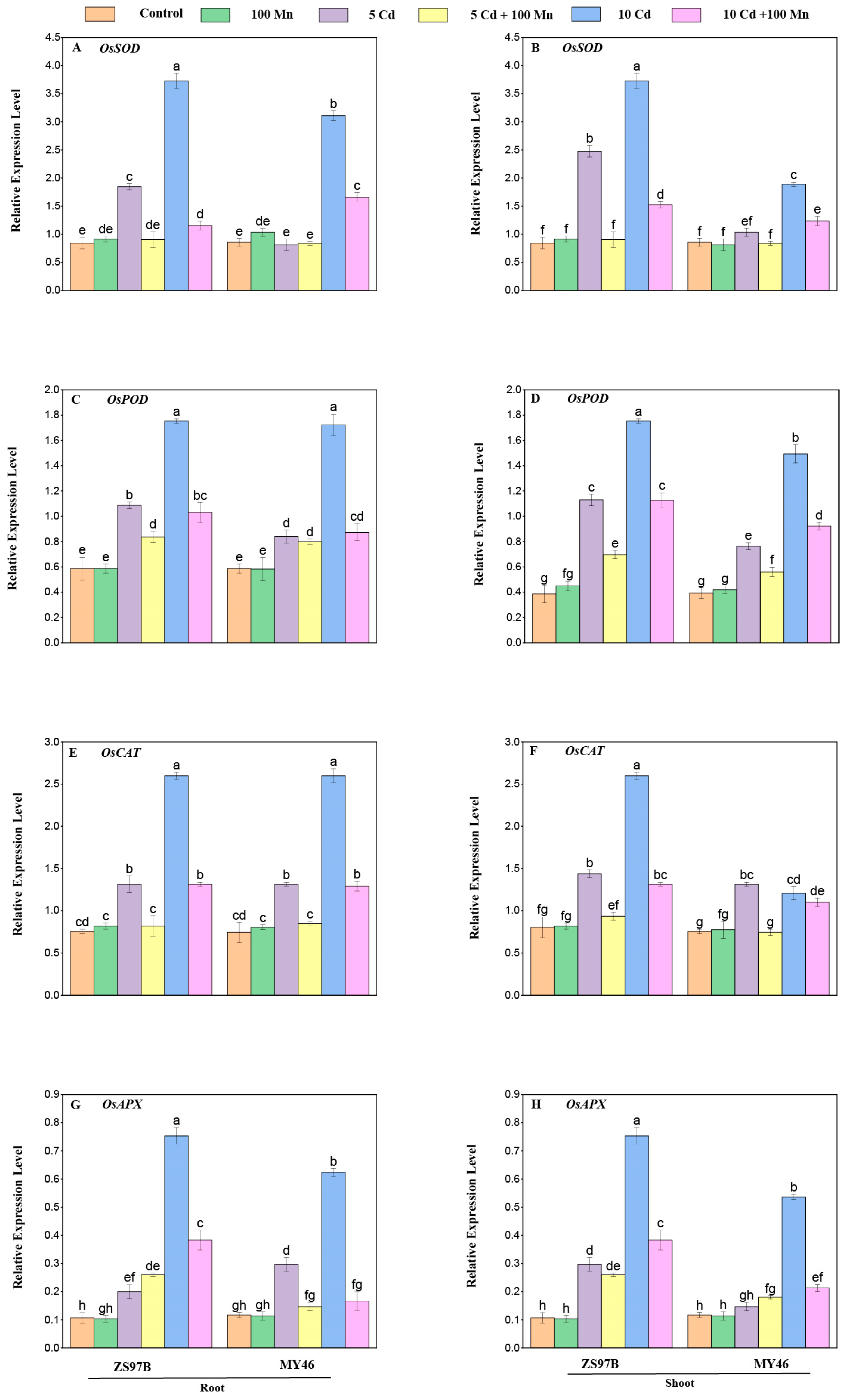 Applsci 15 12704 g007