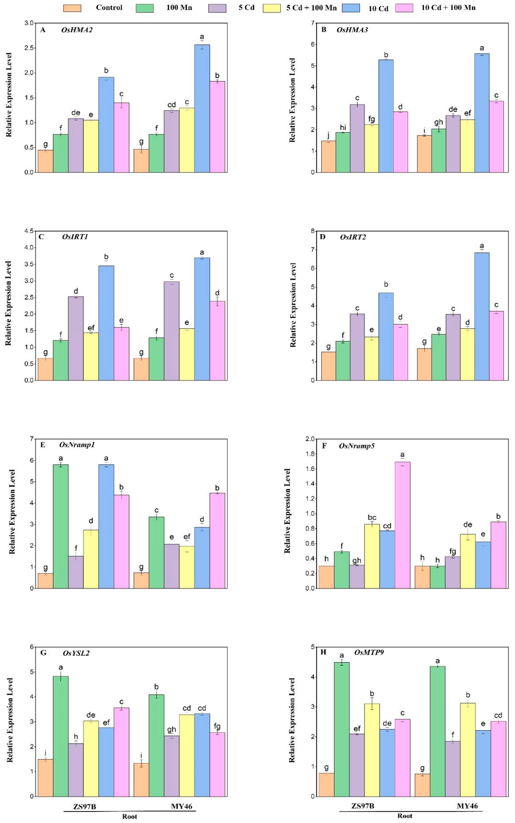 Applsci 15 12704 g008