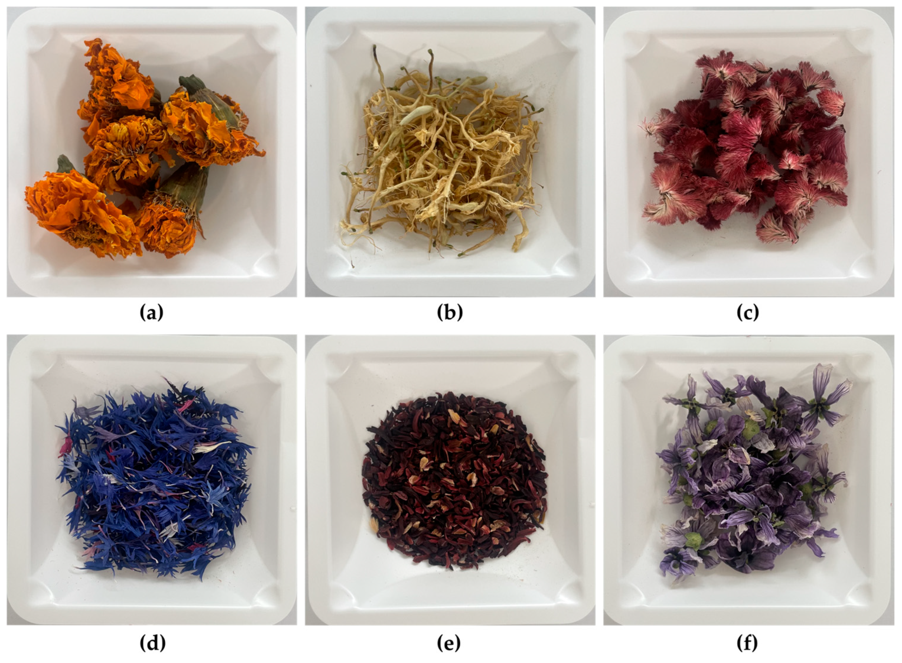 Applsci 15 12730 g001 Applsci 15 12730 g001