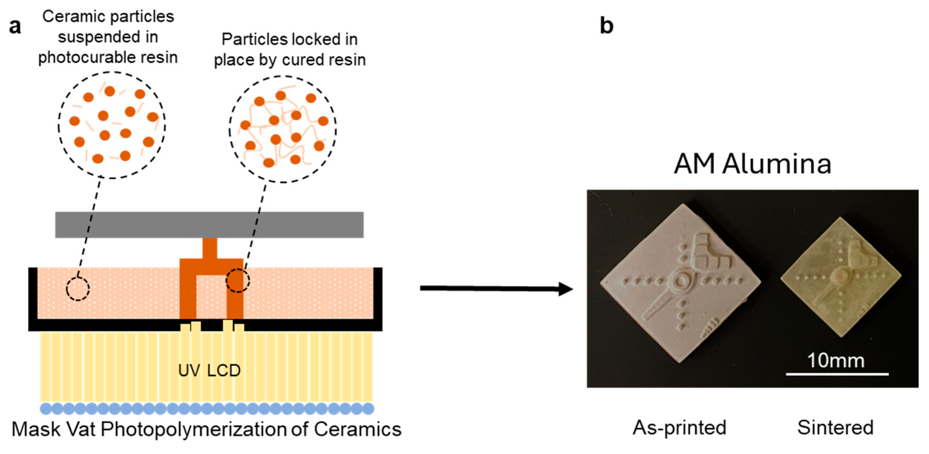 Applsci 15 12742 g001 Applsci 15 12742 g001