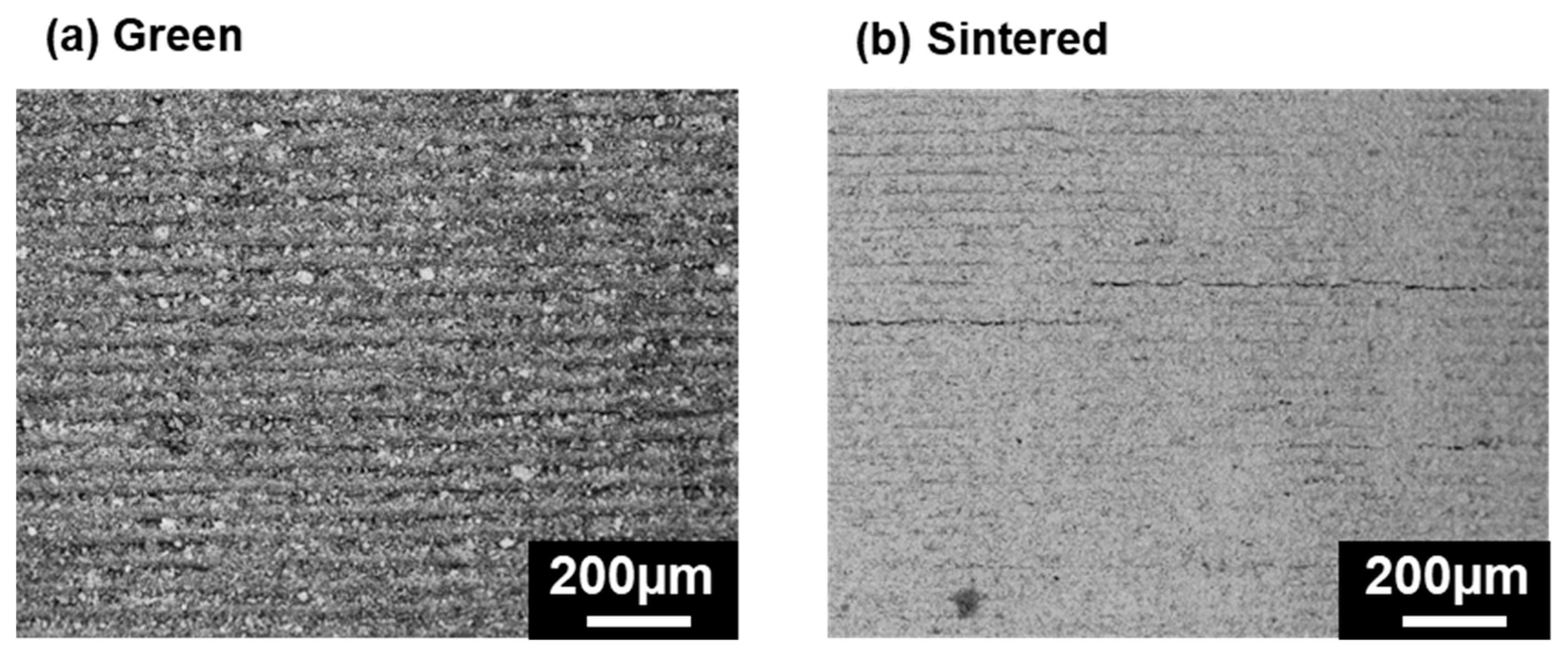 Applsci 15 12742 g006 Applsci 15 12742 g006