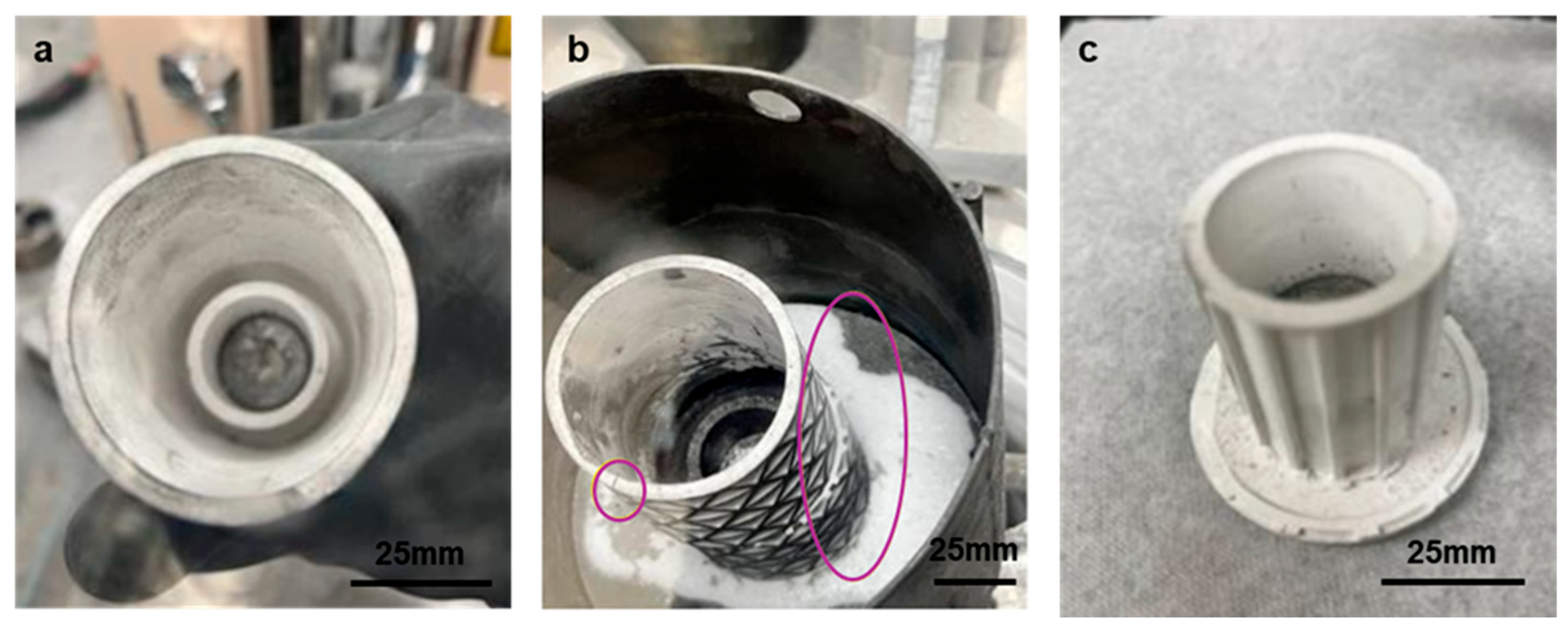 Applsci 15 12742 g010 Applsci 15 12742 g010