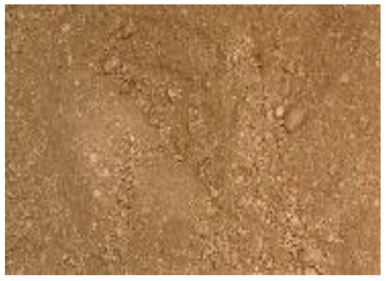 Applsci 15 12748 g002