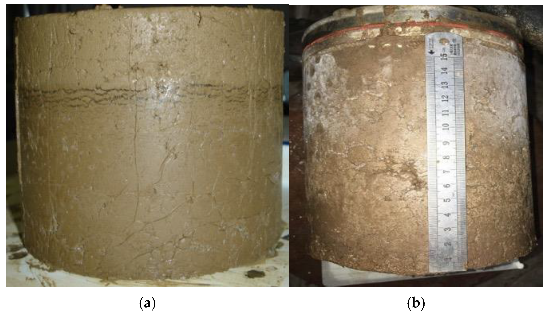 Applsci 15 12748 g015