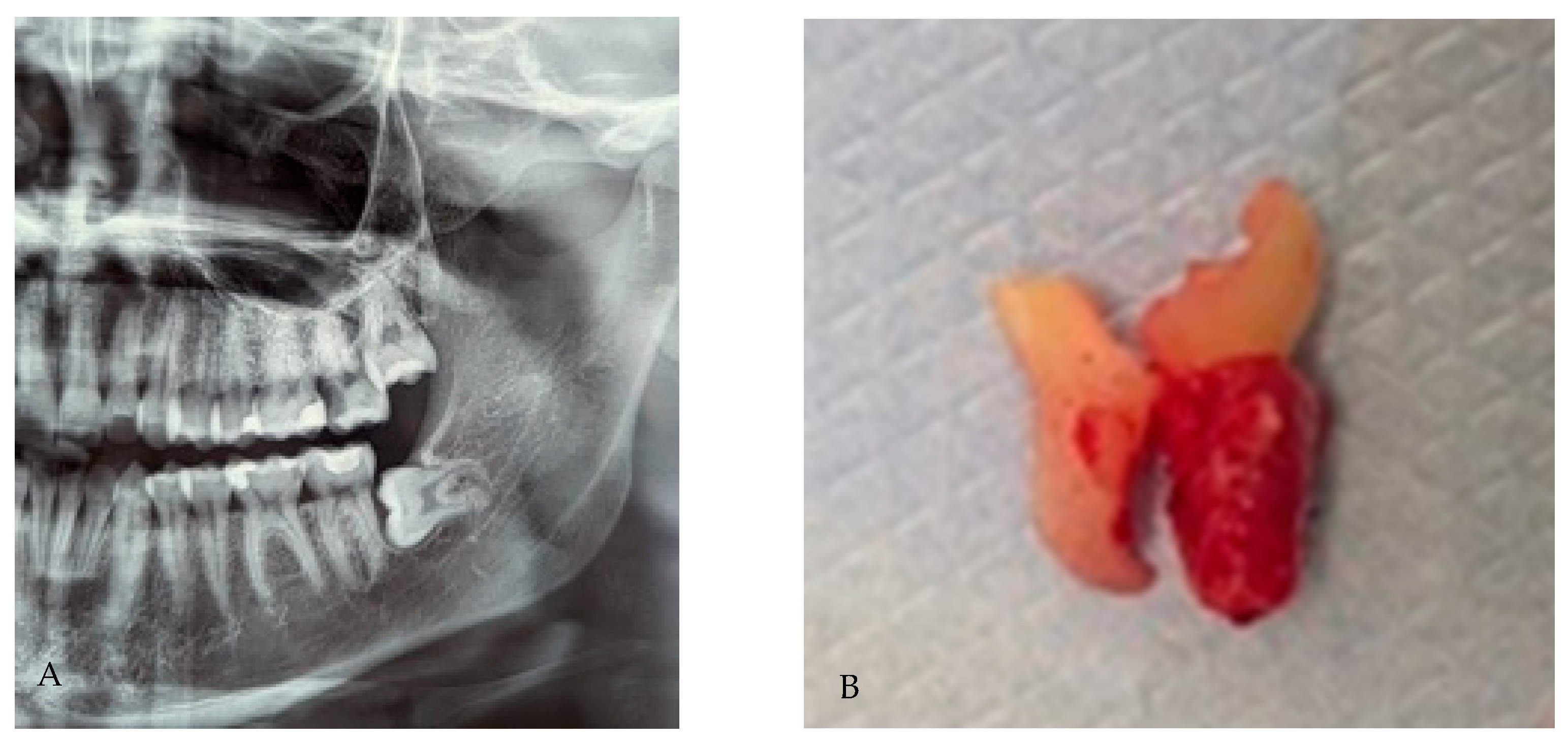 Applsci 15 12756 g002 Applsci 15 12756 g002