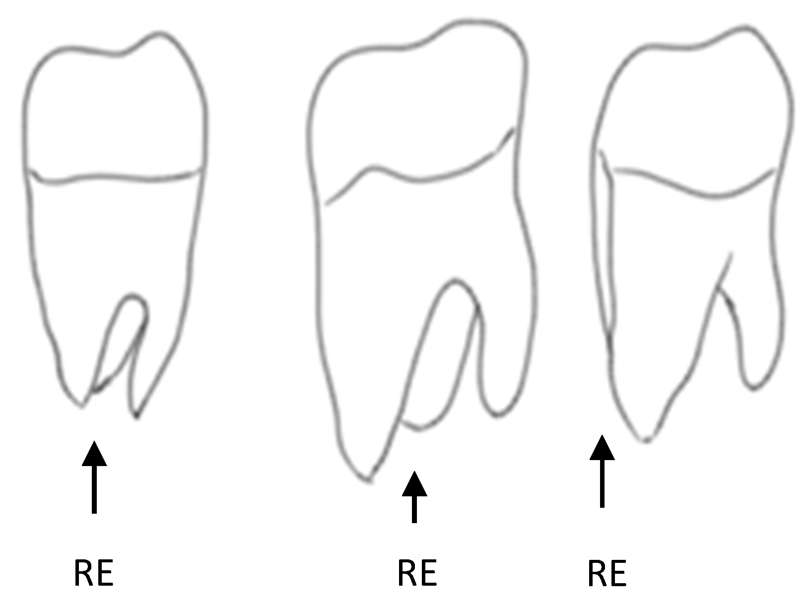 Applsci 15 12756 g003 Applsci 15 12756 g003
