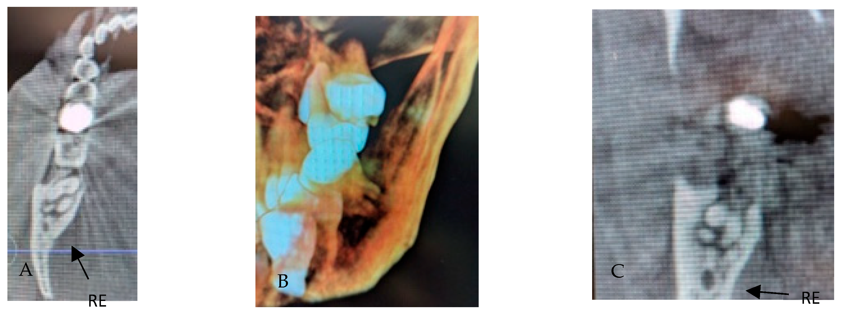 Applsci 15 12756 g004 Applsci 15 12756 g004