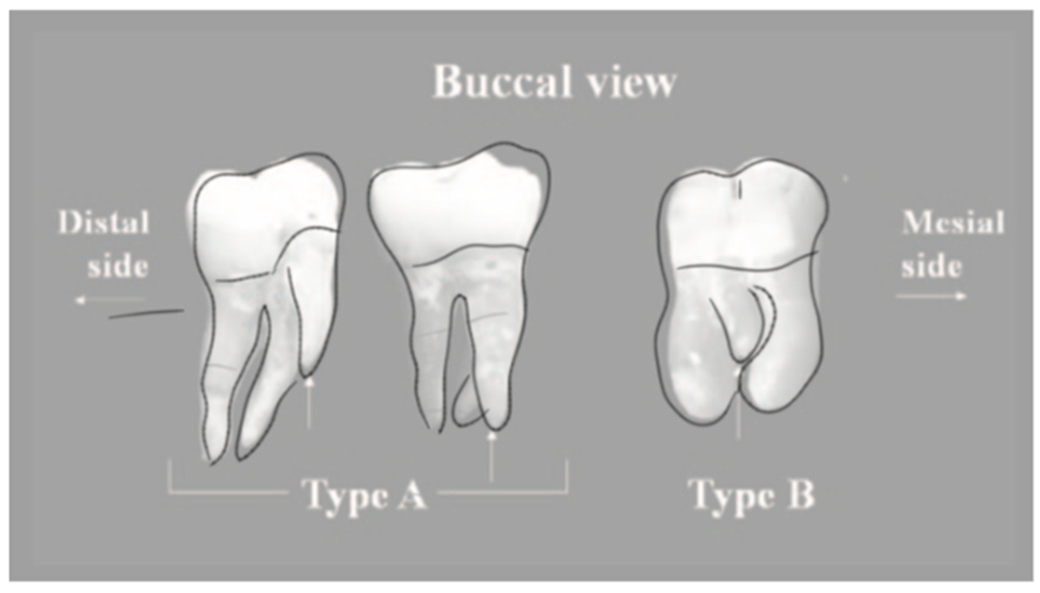 Applsci 15 12756 g005 Applsci 15 12756 g005