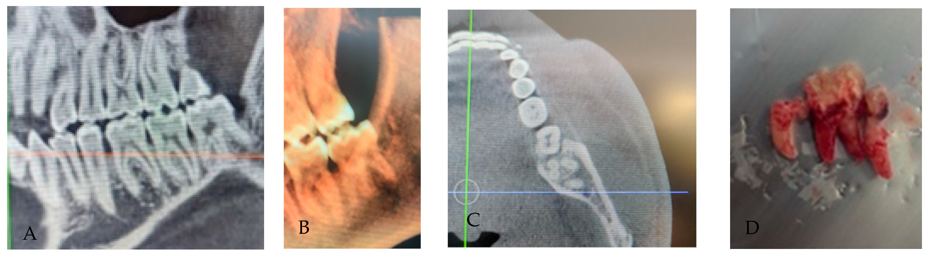 Applsci 15 12756 g006 Applsci 15 12756 g006