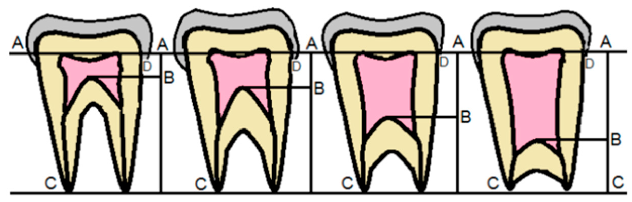 Applsci 15 12756 g007 Applsci 15 12756 g007