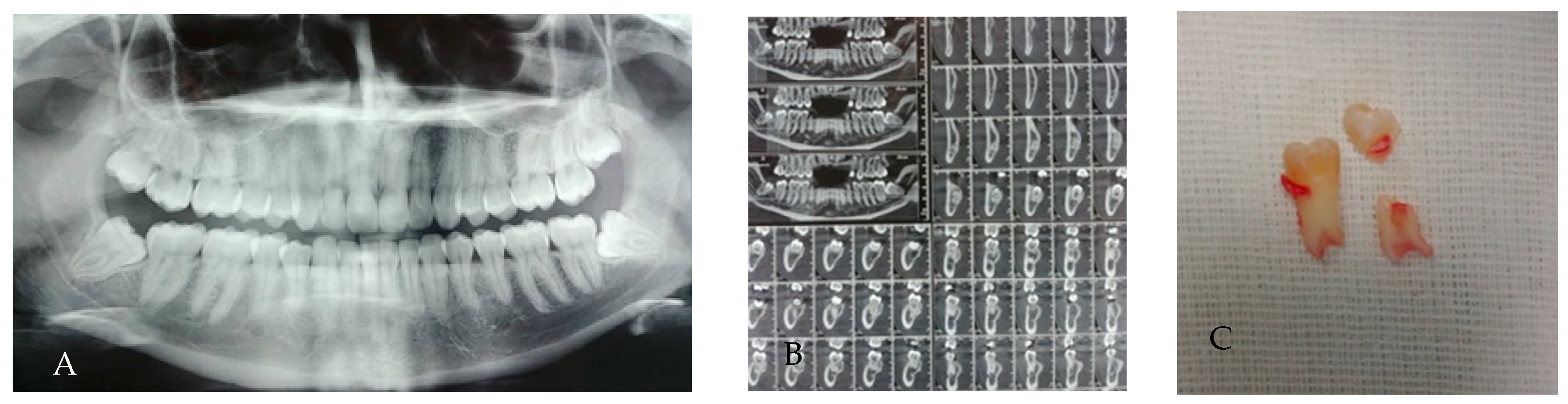 Applsci 15 12756 g008 Applsci 15 12756 g008