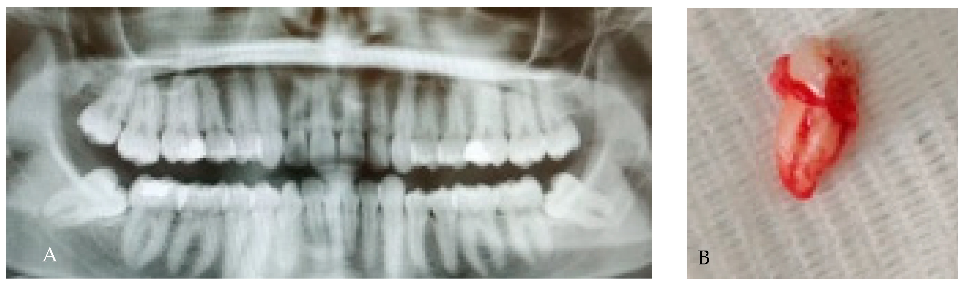 Applsci 15 12756 g009 Applsci 15 12756 g009