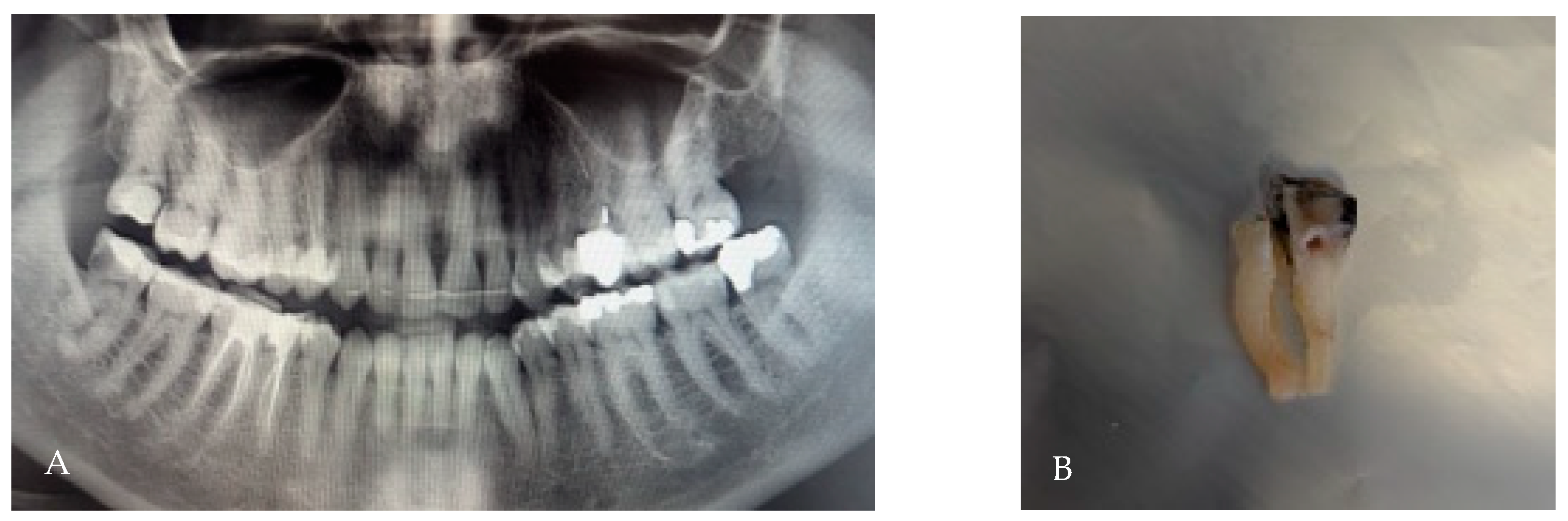 Applsci 15 12756 g010 Applsci 15 12756 g010