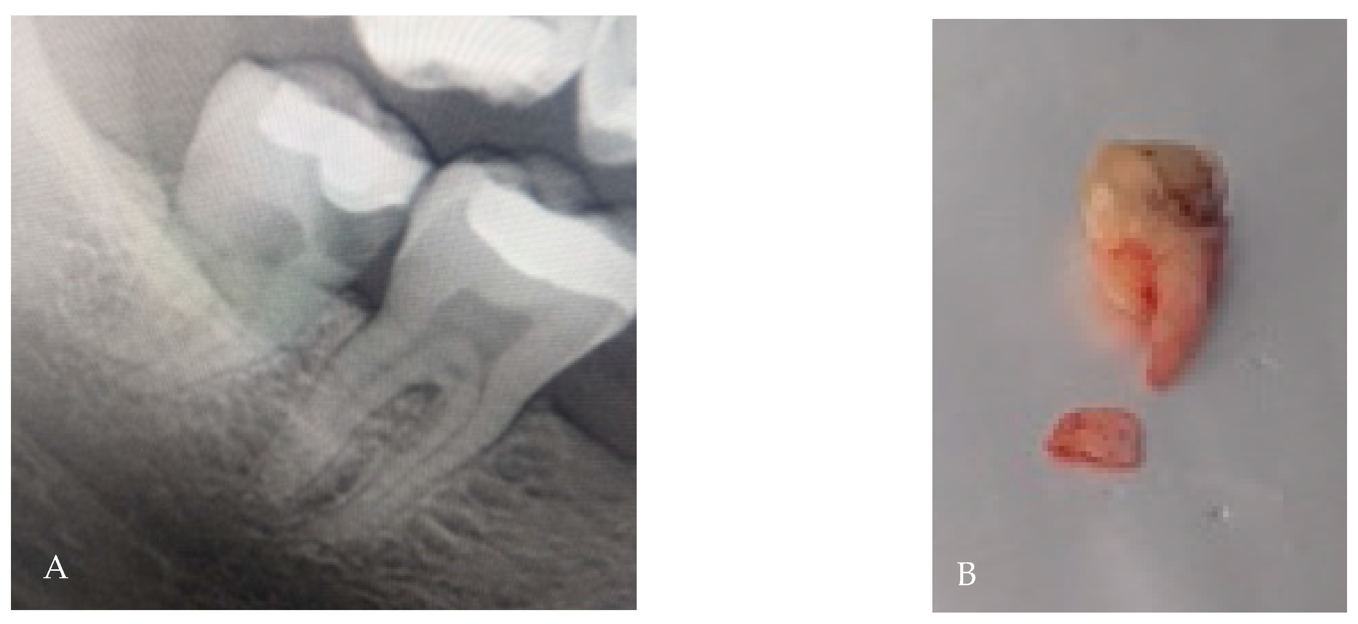 Applsci 15 12756 g011 Applsci 15 12756 g011