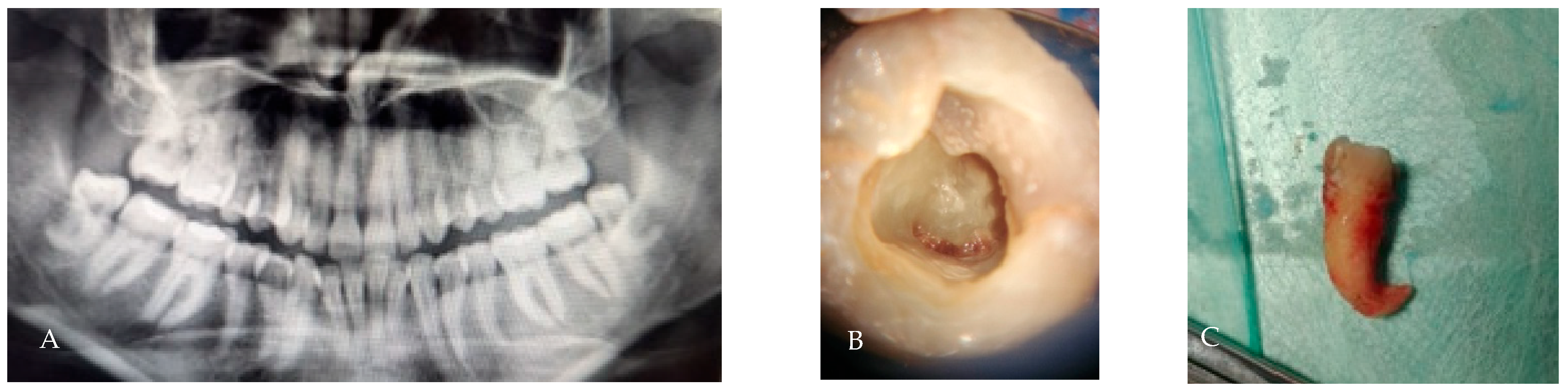 Applsci 15 12756 g012 Applsci 15 12756 g012