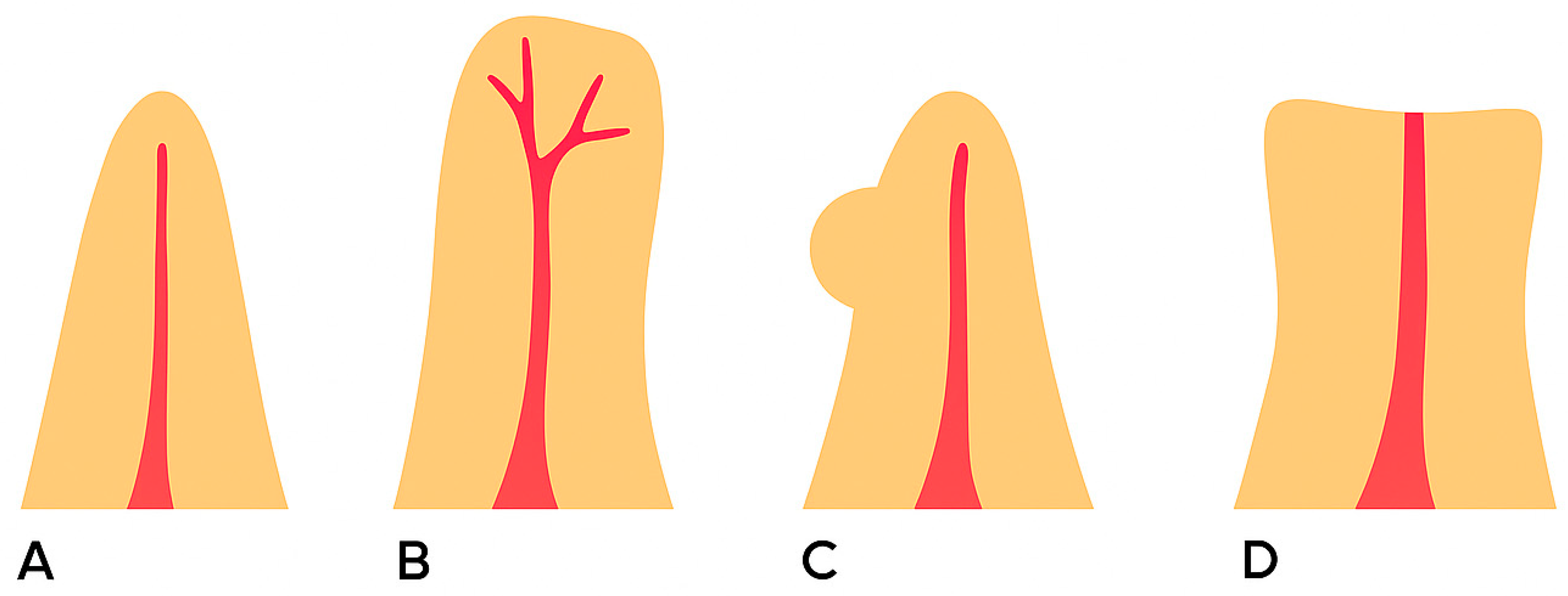 Applsci 15 12756 g015 Applsci 15 12756 g015