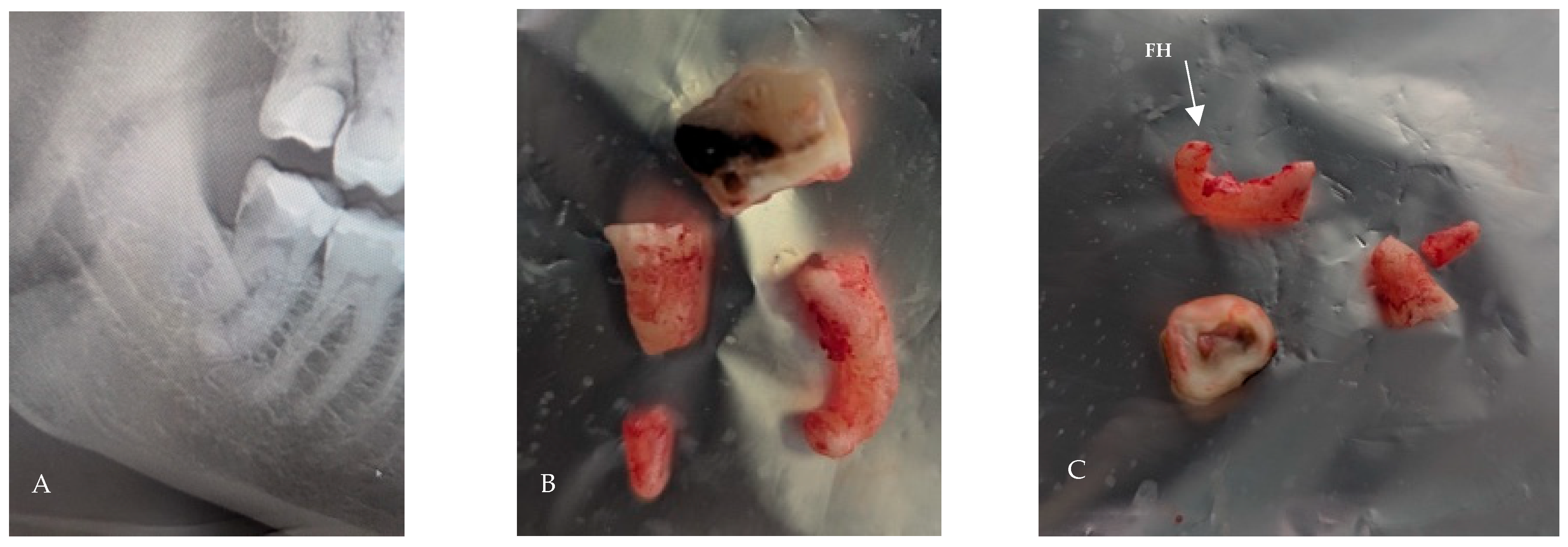 Applsci 15 12756 g016 Applsci 15 12756 g016