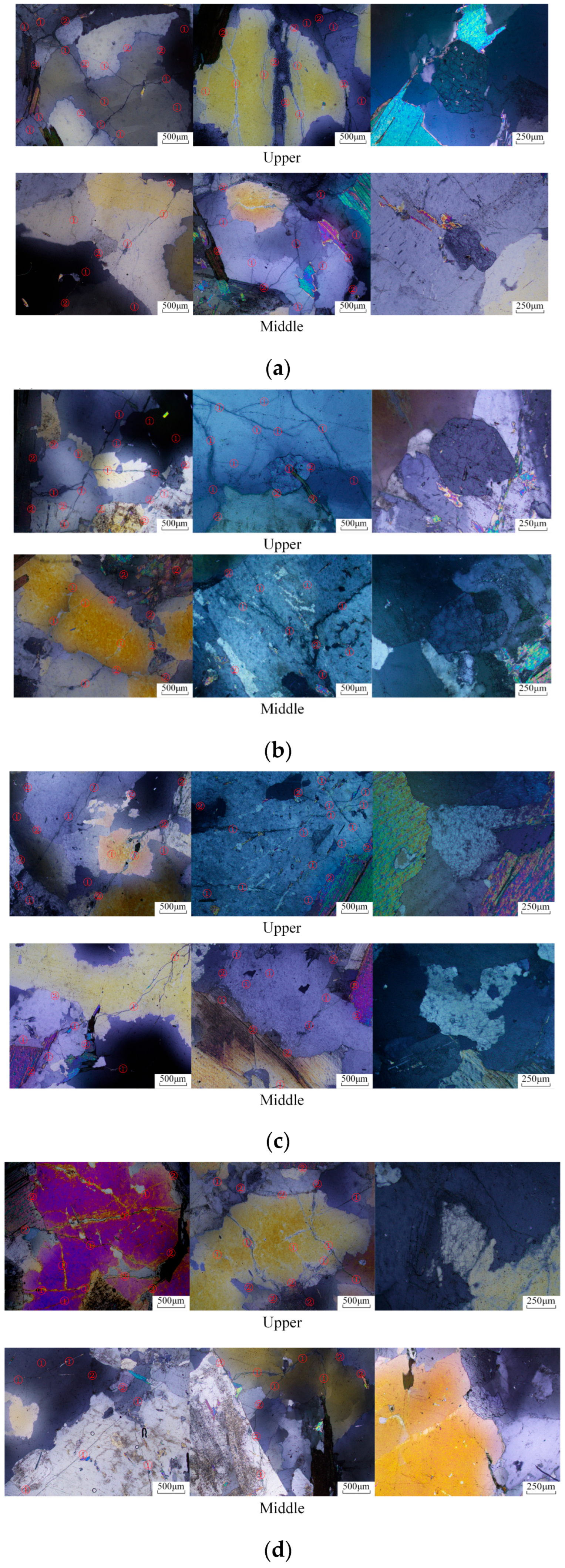 Applsci 15 12758 g020