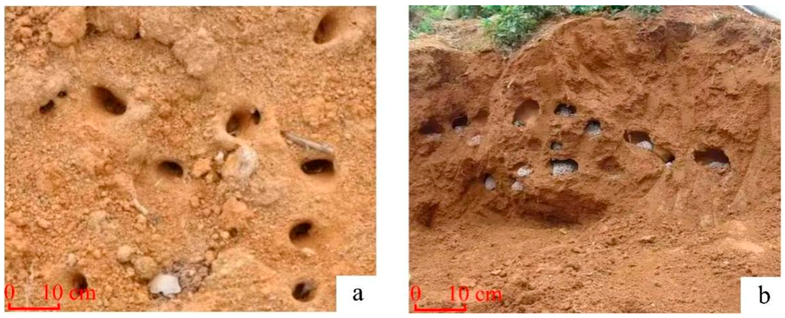 Applsci 15 12763 g002 Applsci 15 12763 g002