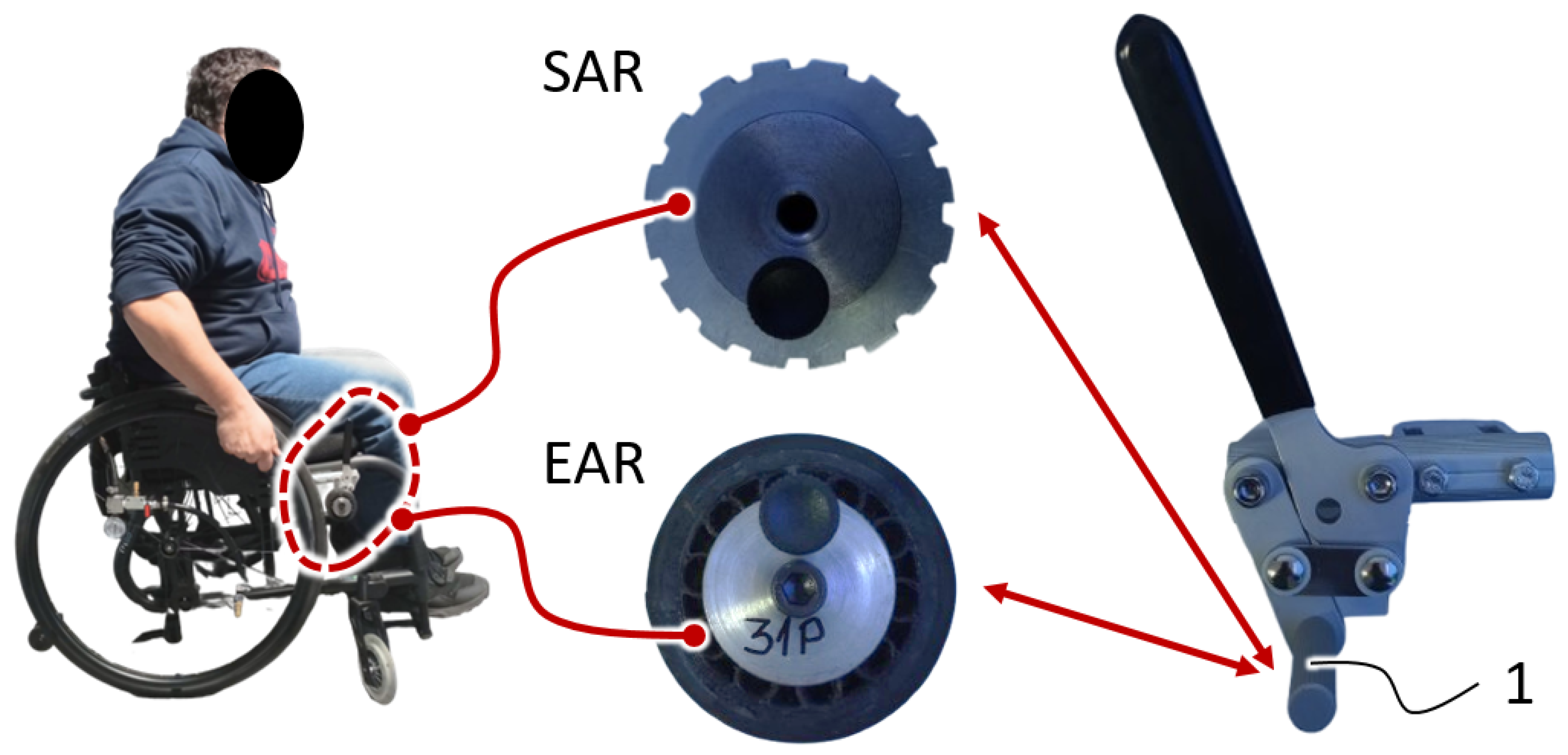 Applsci 15 12768 g001