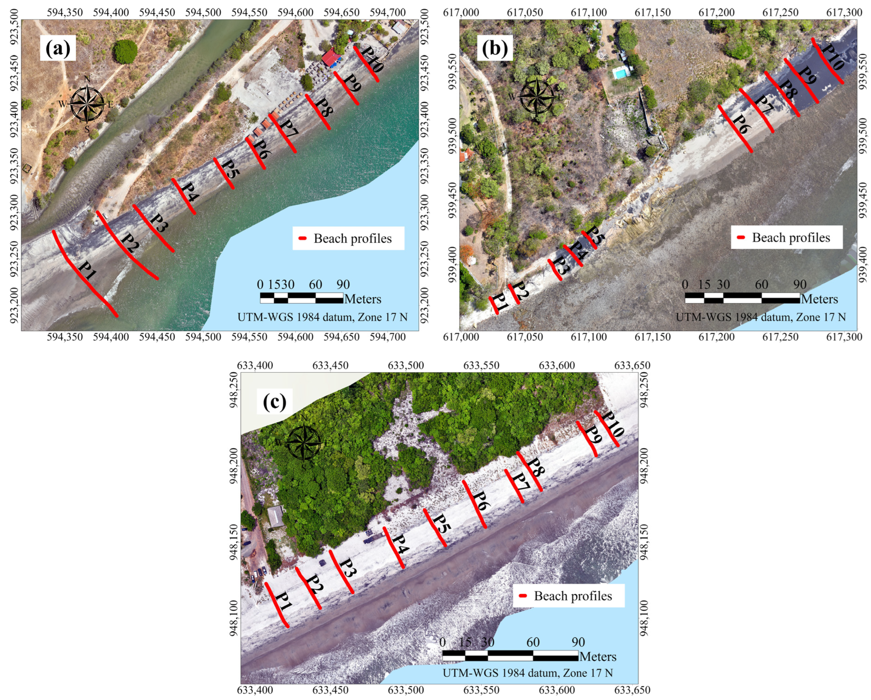 Applsci 15 12769 g004 Applsci 15 12769 g004