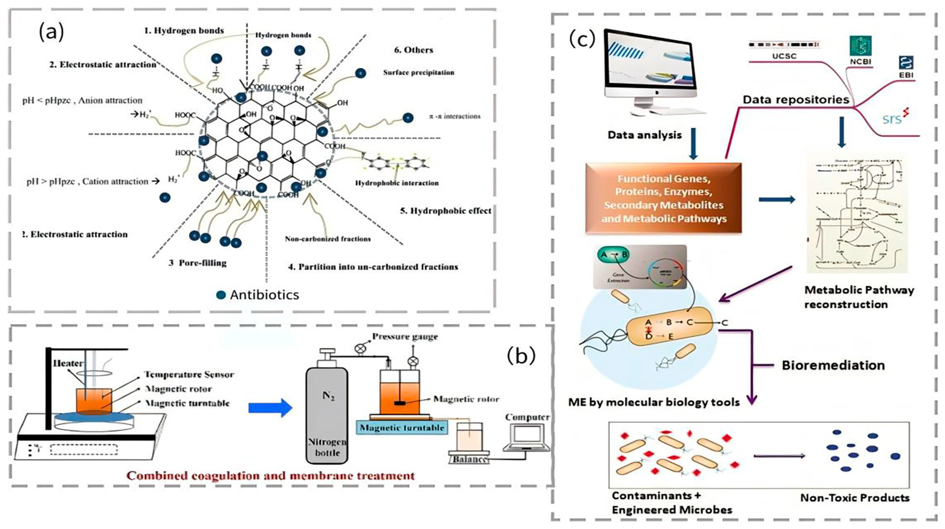 Applsci 15 12777 g005 Applsci 15 12777 g005