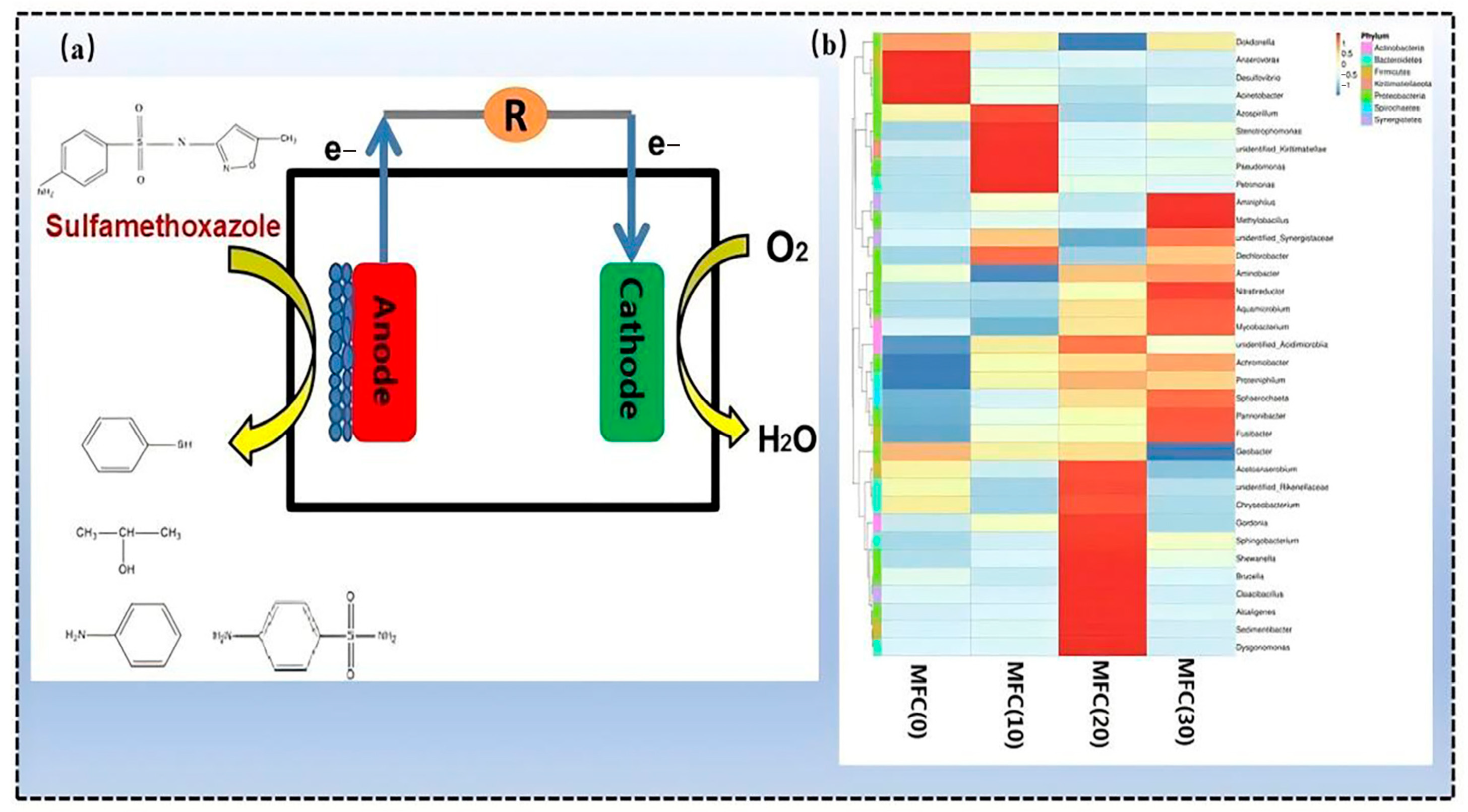 Applsci 15 12777 g006 Applsci 15 12777 g006