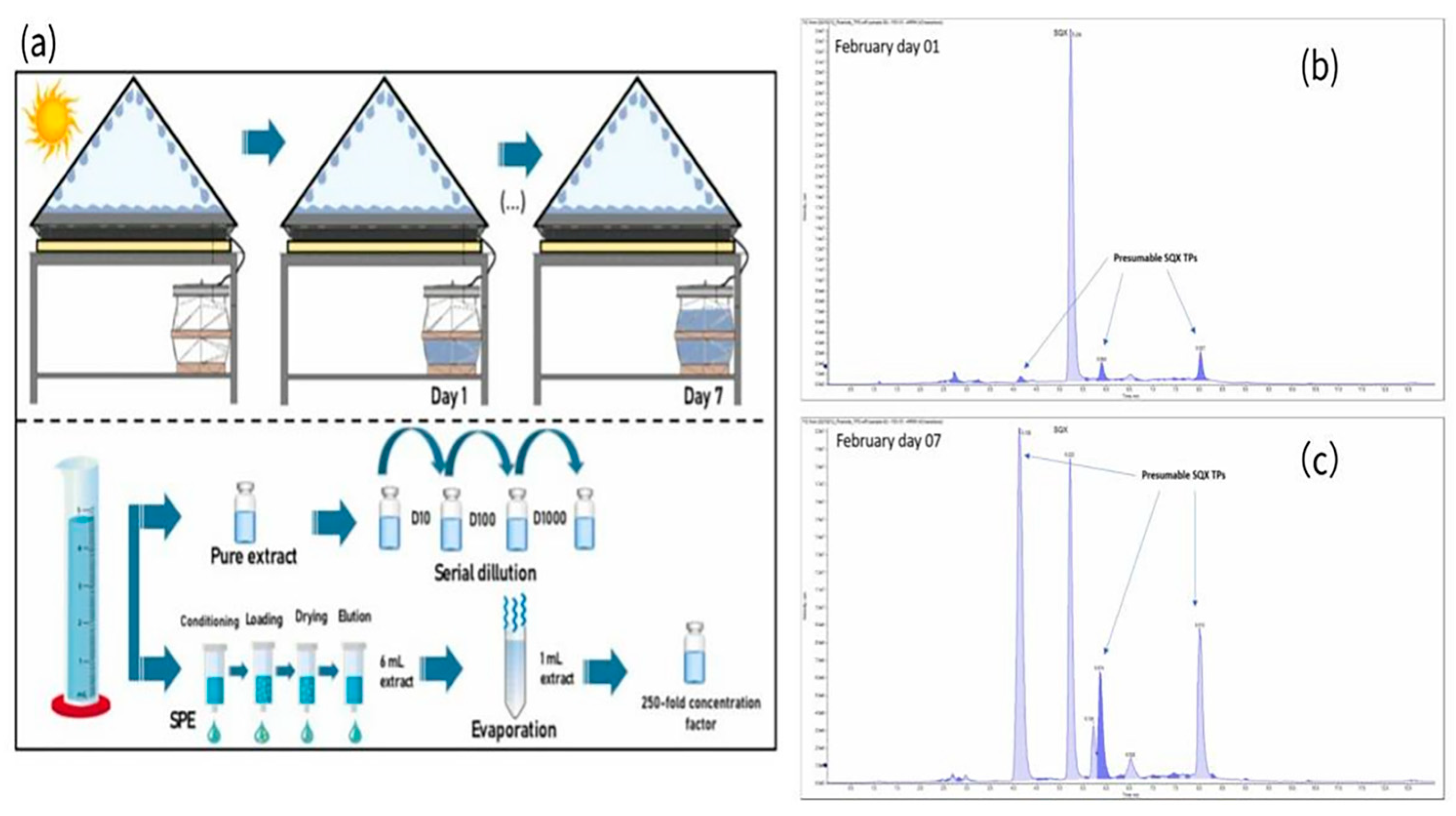 Applsci 15 12777 g008 Applsci 15 12777 g008