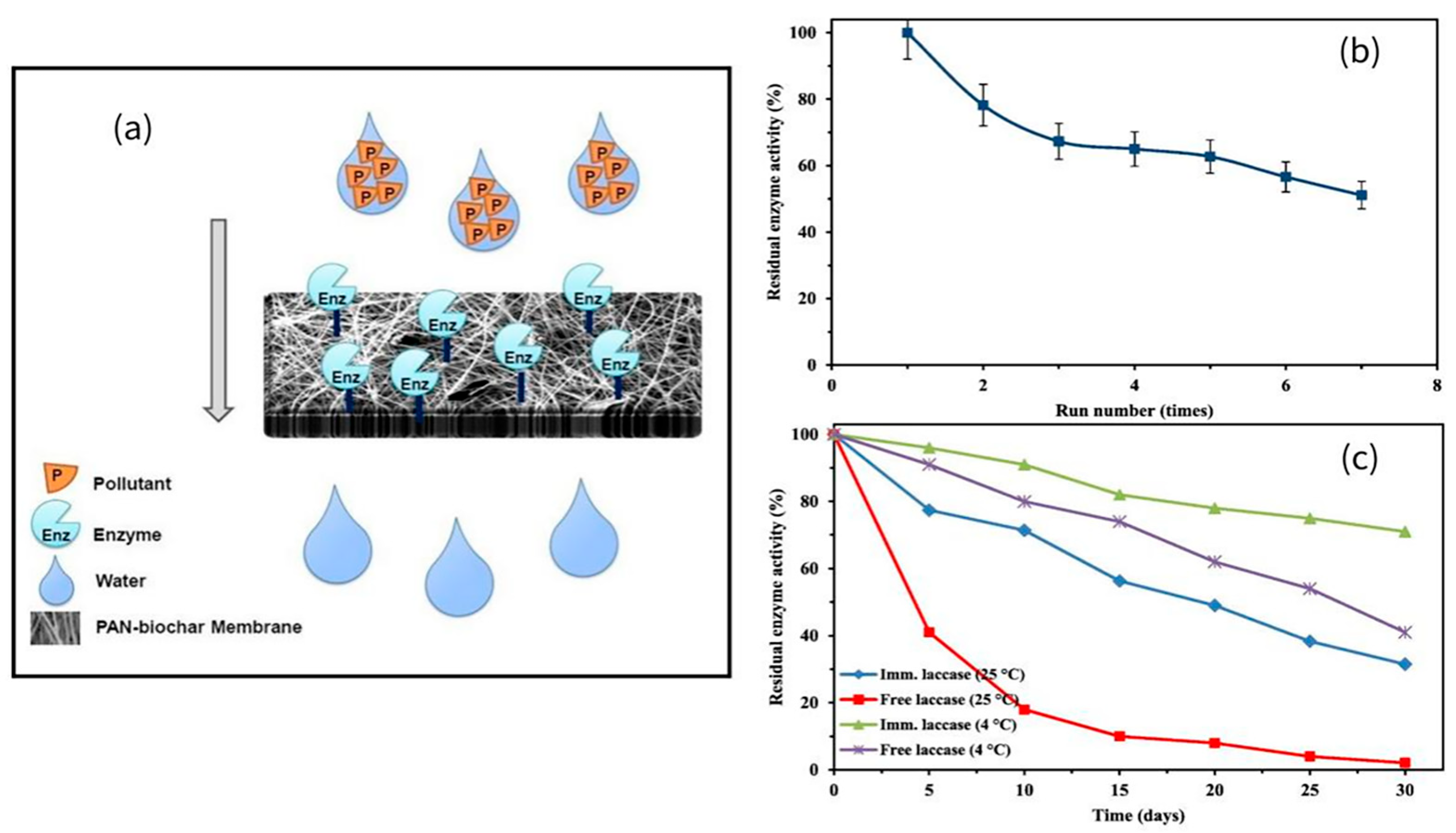 Applsci 15 12777 g009 Applsci 15 12777 g009