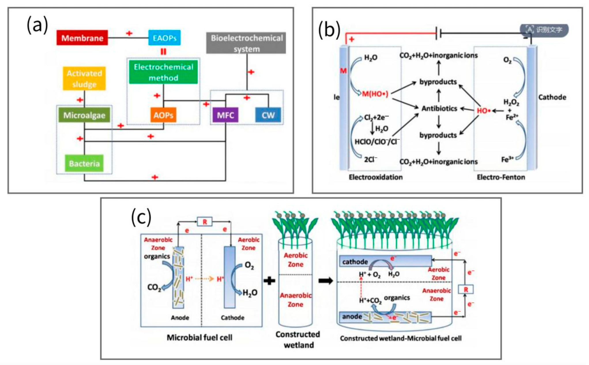 Applsci 15 12777 g010 Applsci 15 12777 g010