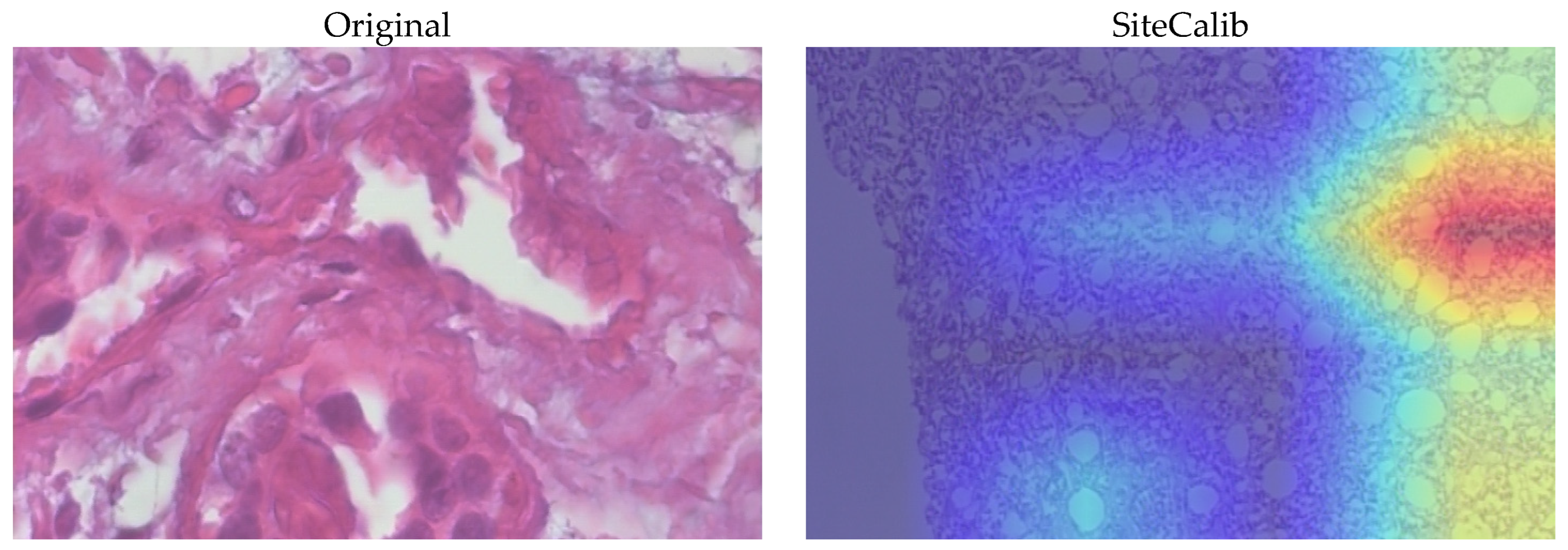 Applsci 15 12819 g005a