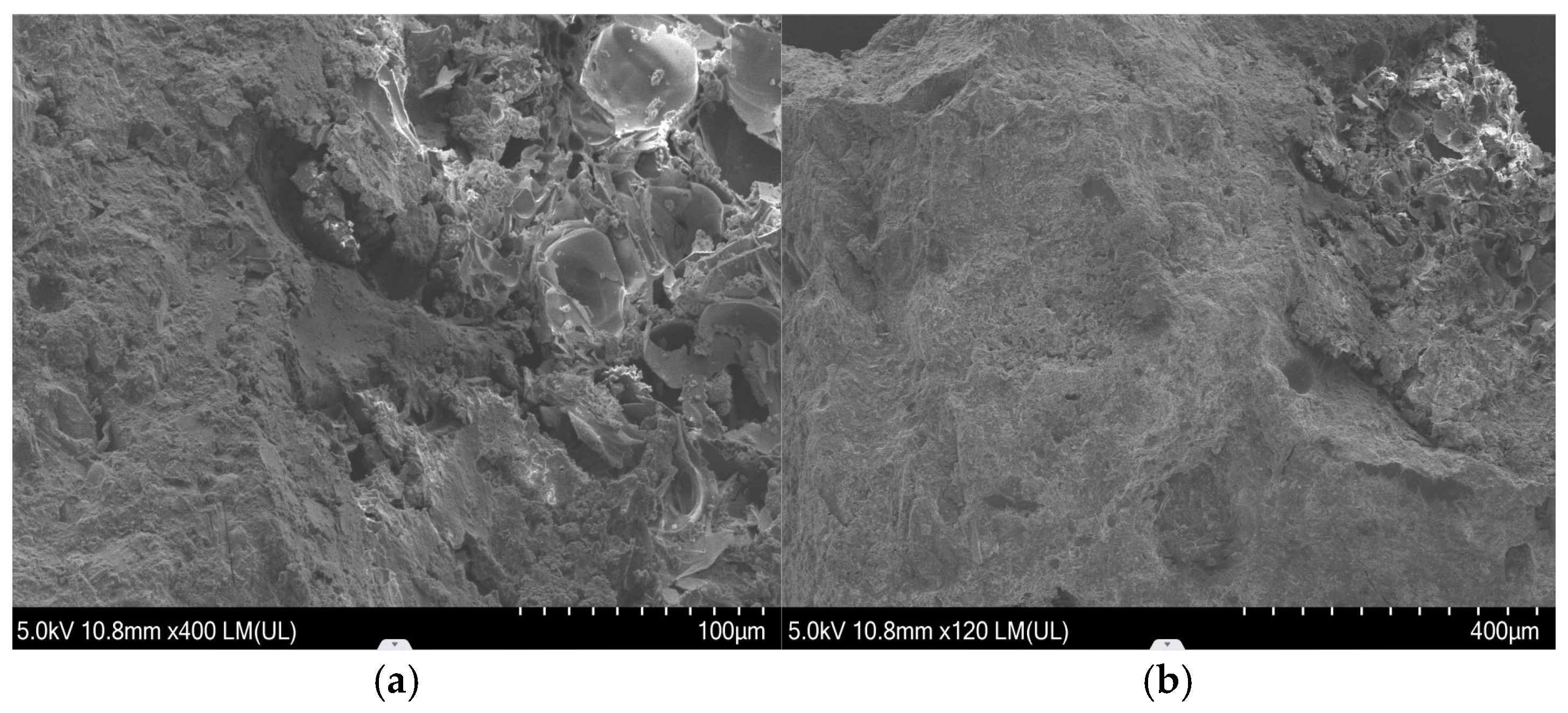 Applsci 15 12820 g007