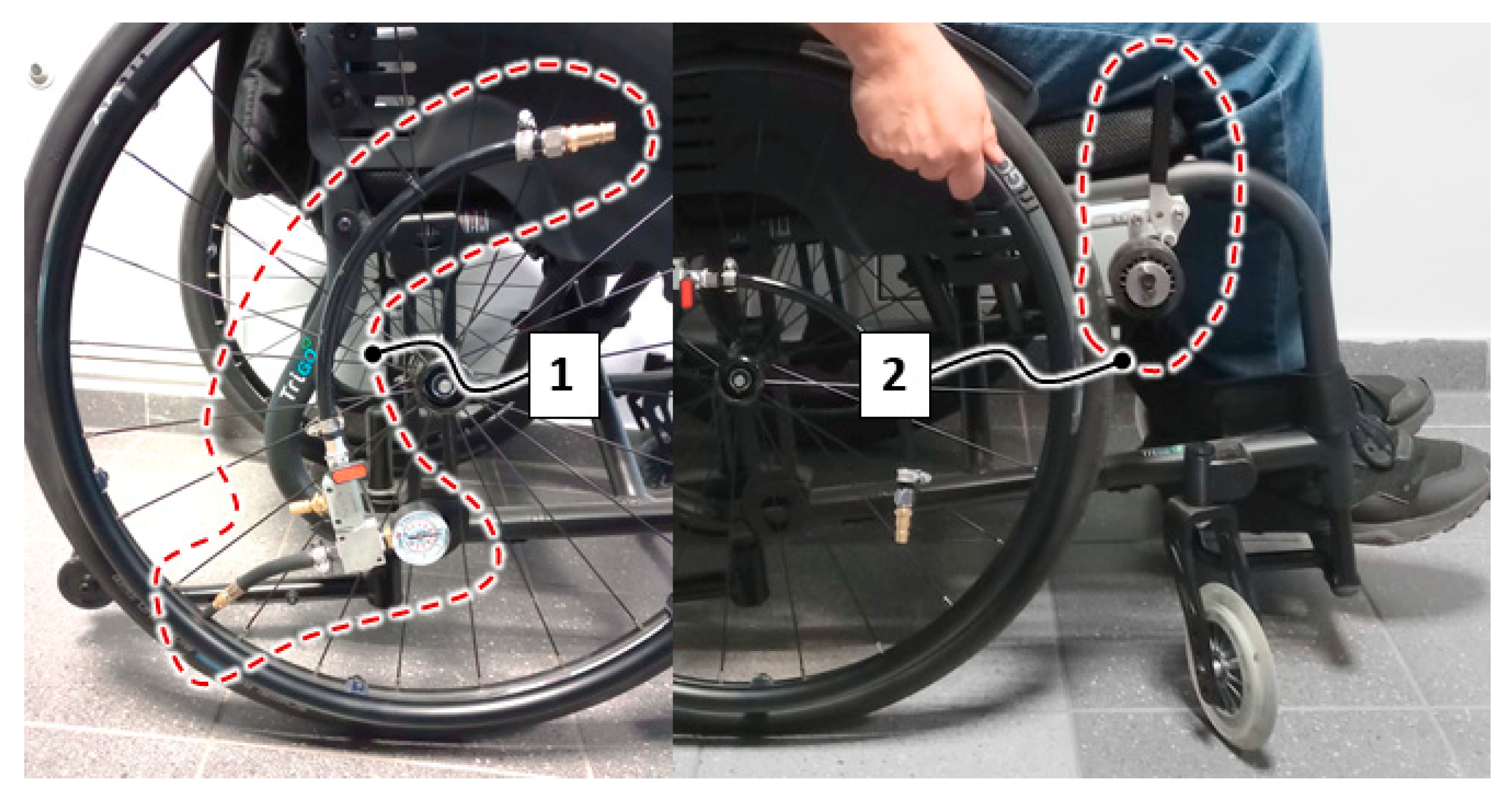 Applsci 15 12834 g001 Applsci 15 12834 g001