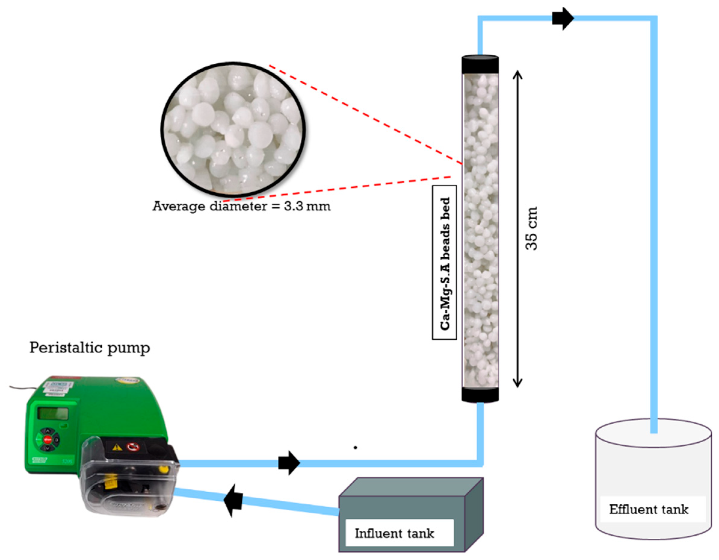 Applsci 15 12844 g003 Applsci 15 12844 g003