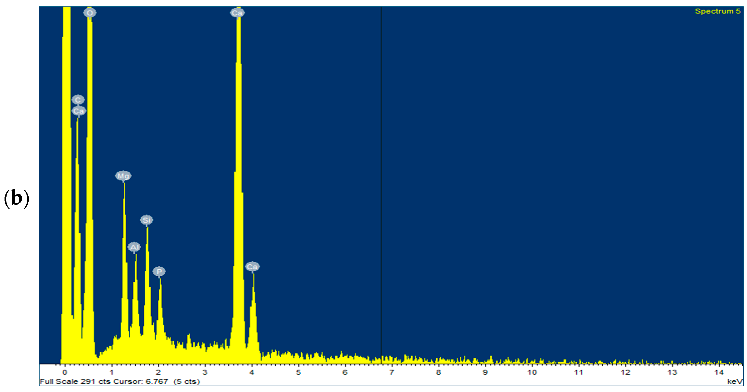 Applsci 15 12844 g012b Applsci 15 12844 g012b